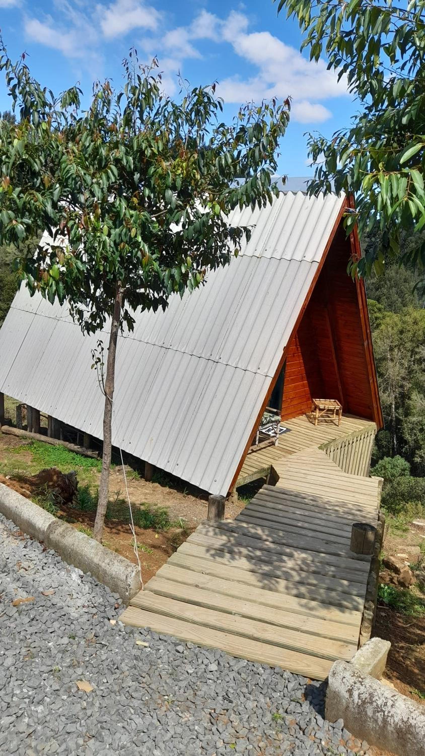 Chalet - Photo 3