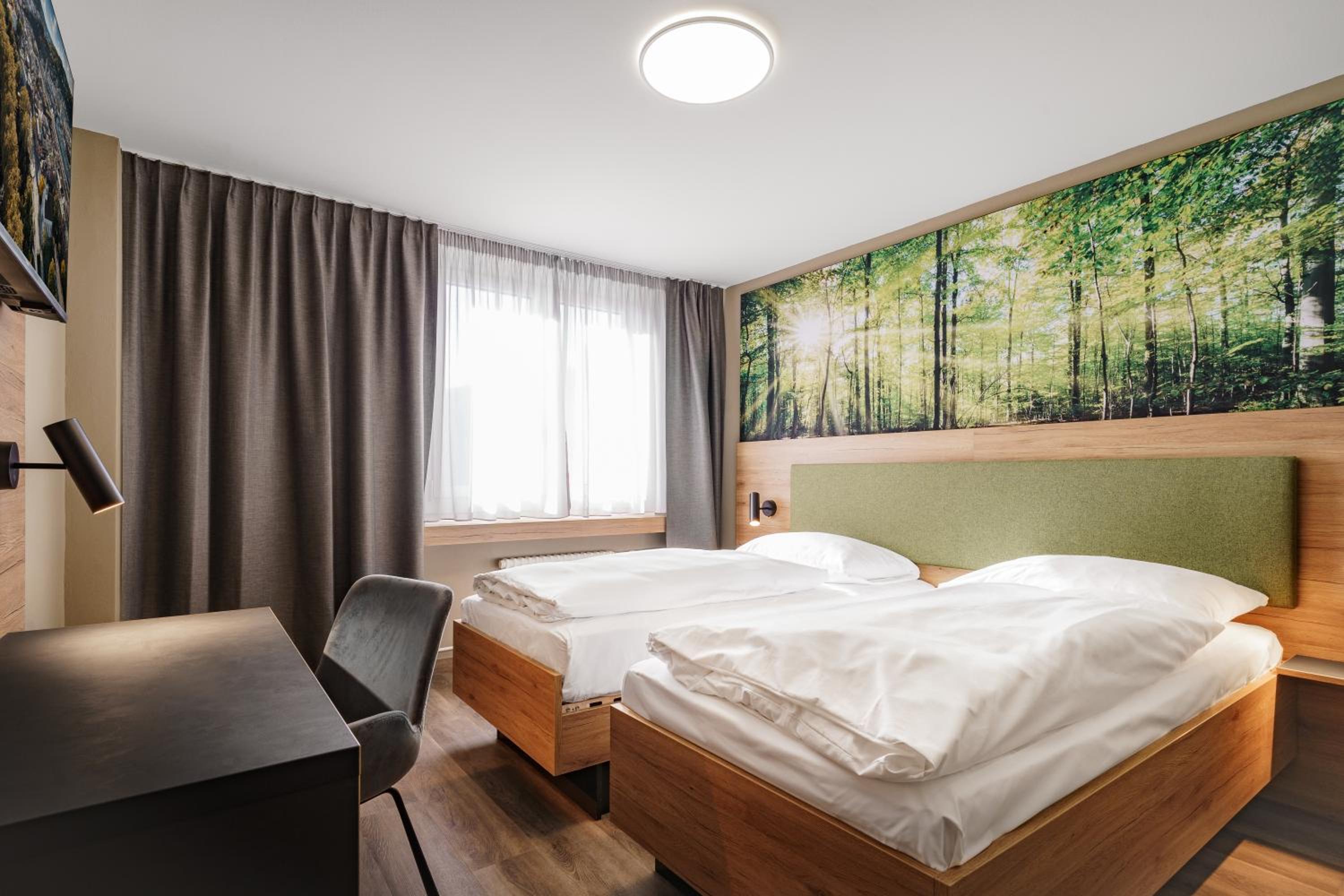 Double or Twin Room Comfort photo 2