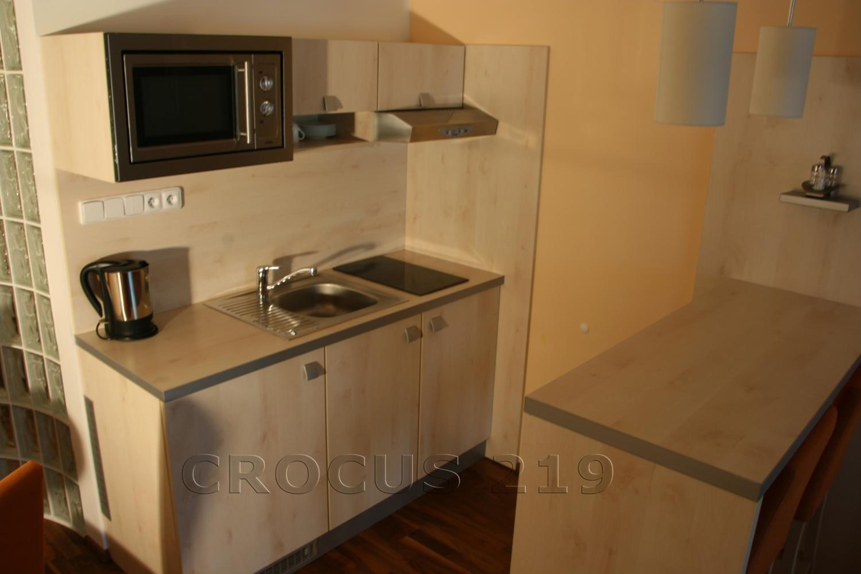 One-Bedroom Apartment with Mountain View - Photo 21