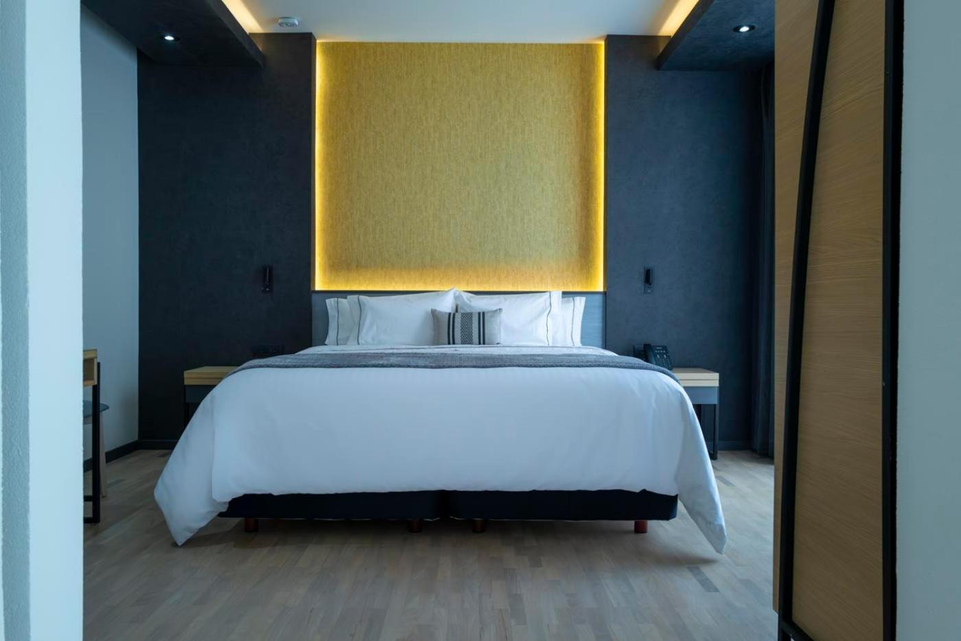 Deluxe King Suite - Photo 1