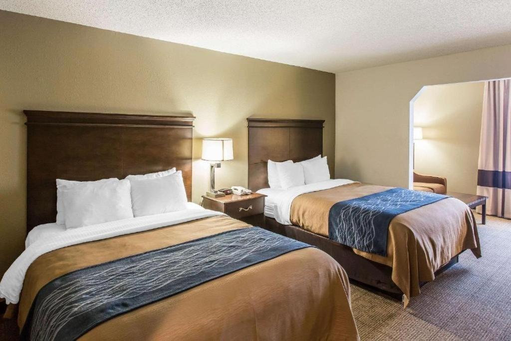 Queen Suite with Two Queen Beds - Non-Smoking - Photo 4