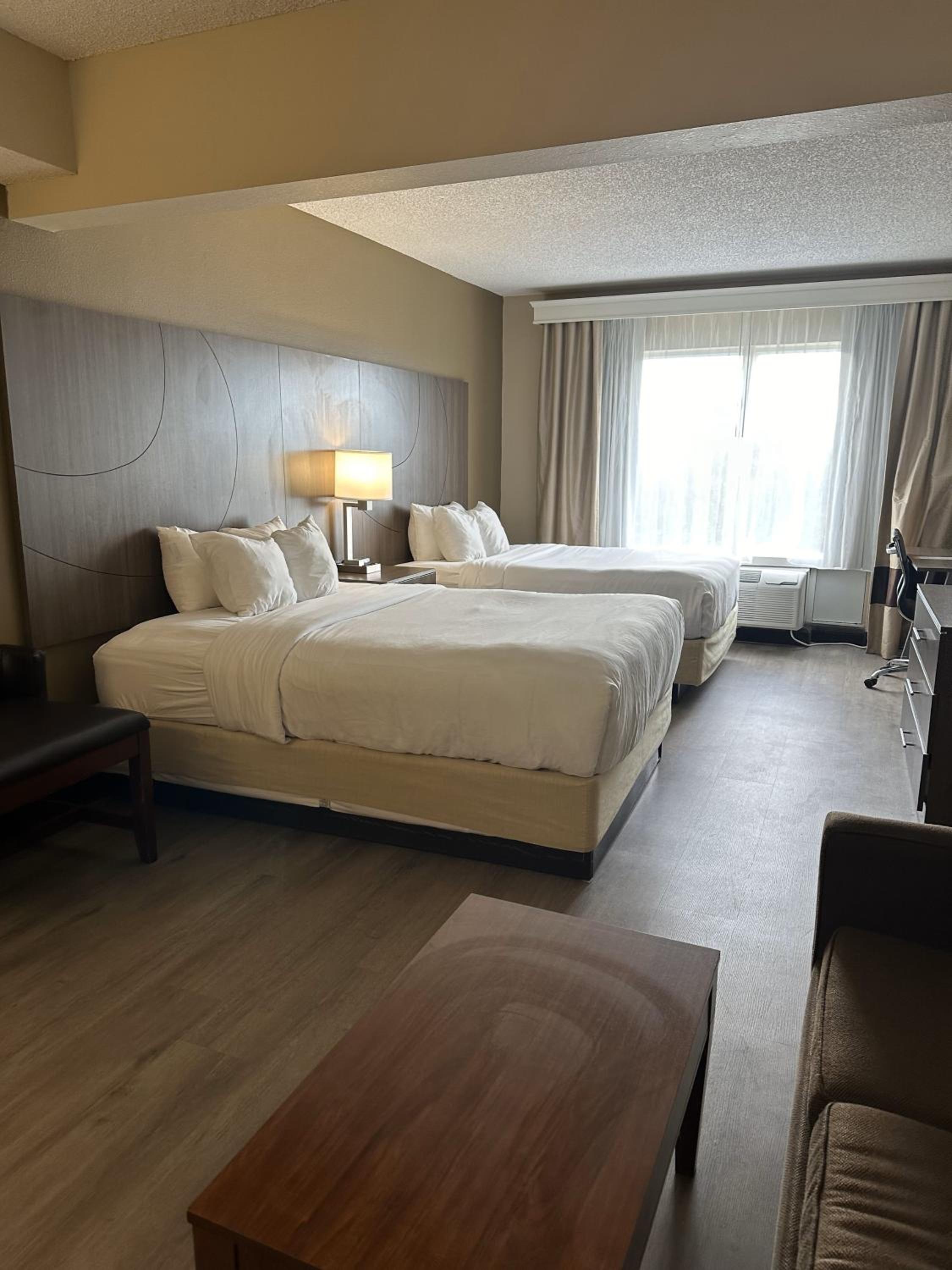 Queen Suite with Two Queen Beds and Sofa Bed - Non-Smoking - Photo 1