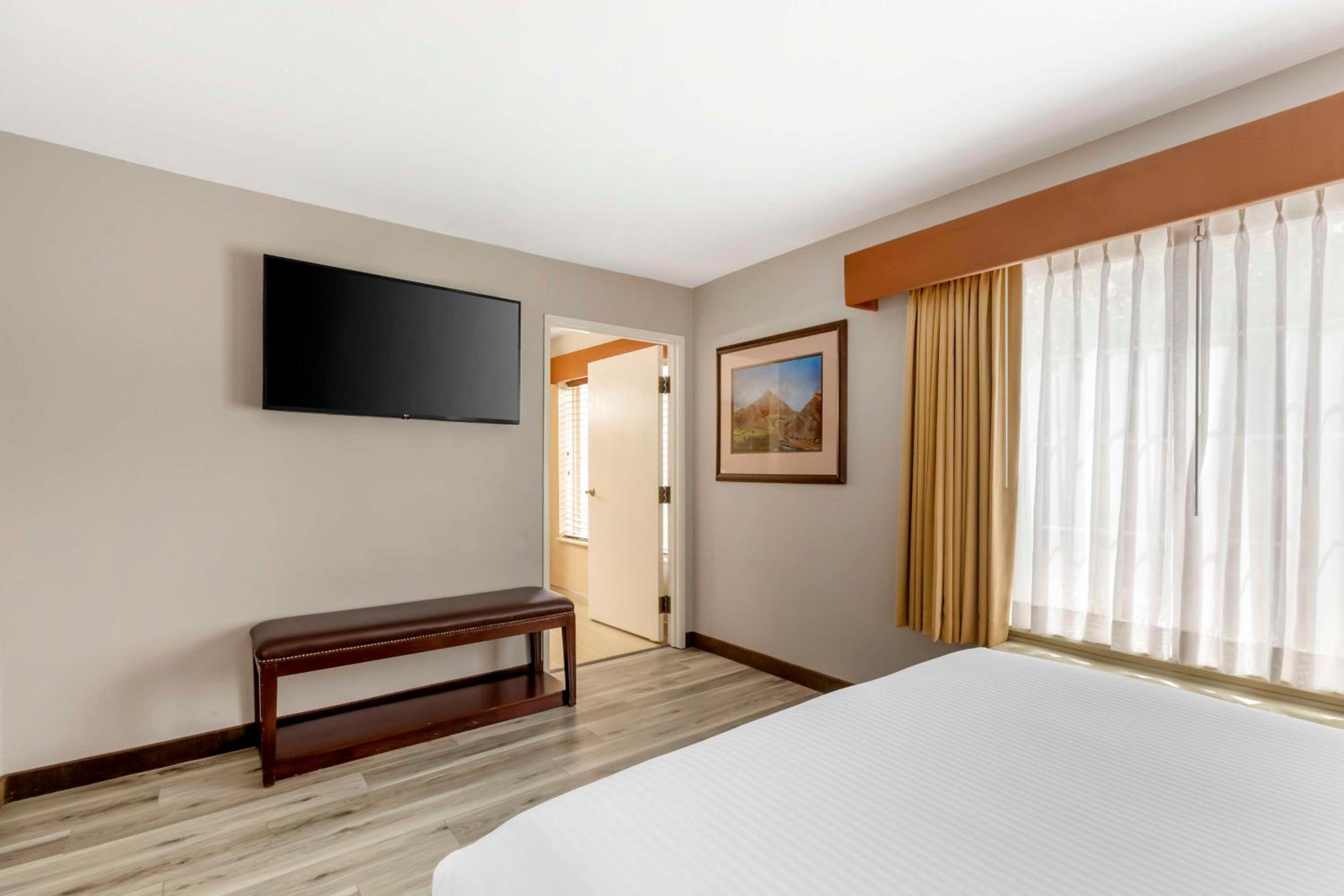 King Suite - Photo 5