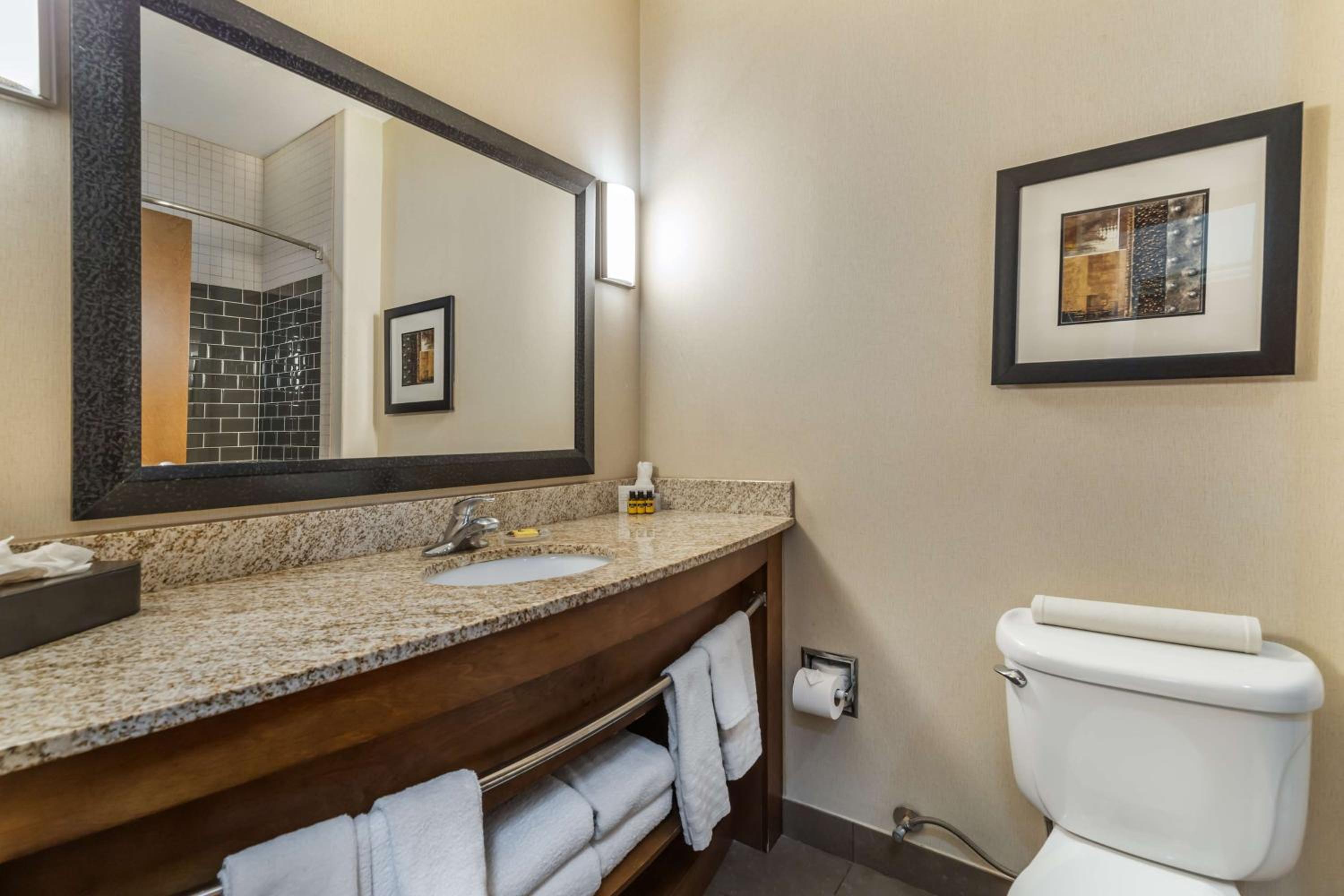 King Suite with Kitchenette - Photo 5
