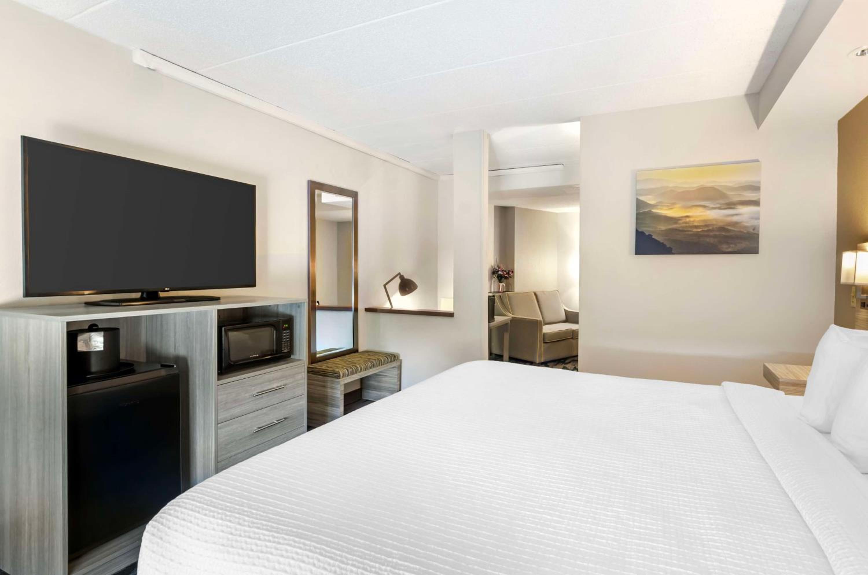 King Suite with Bath Tub and Sofa - Disability/Non-Smoking - Photo 1