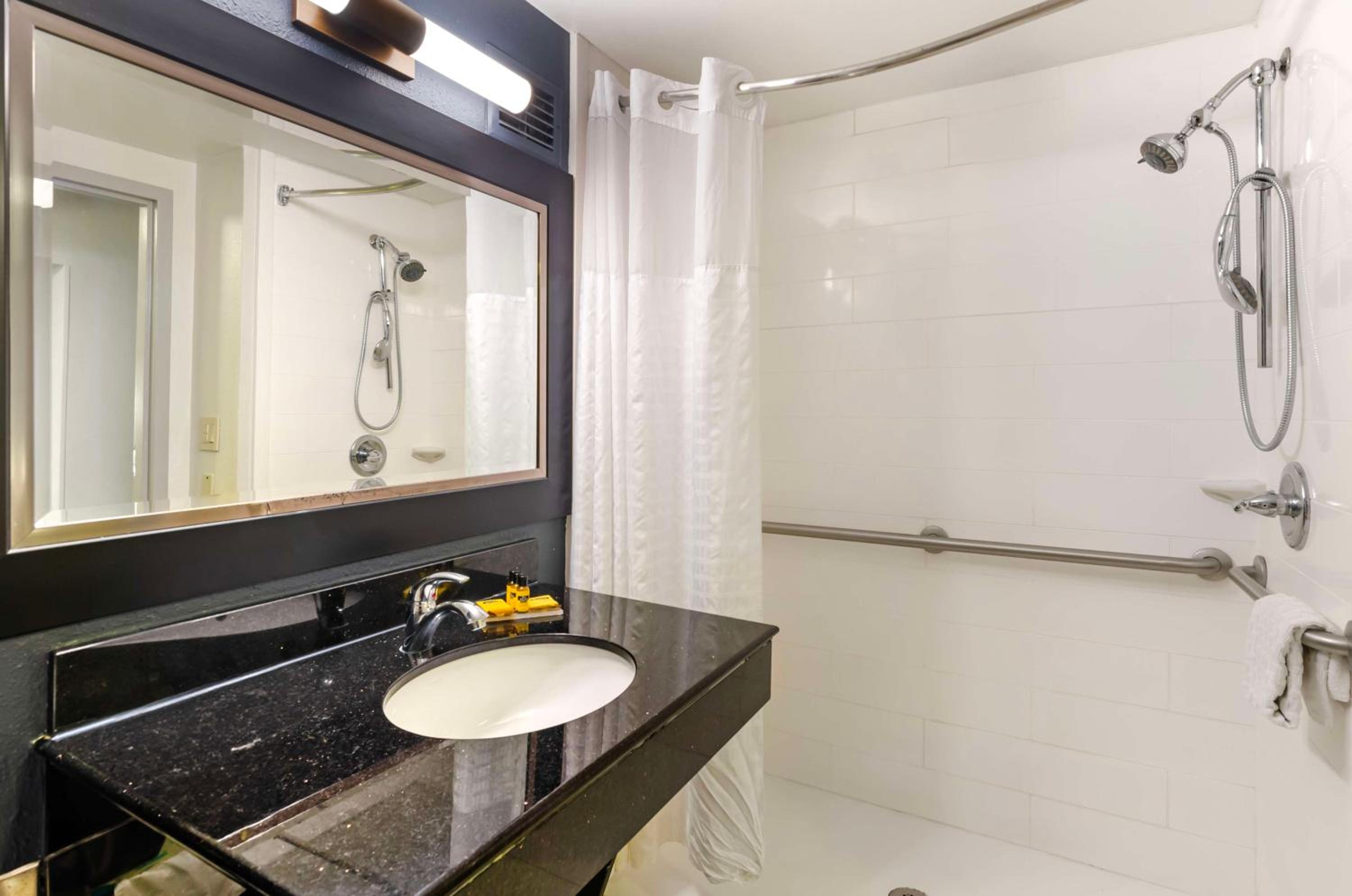 King Suite with Bath Tub and Sofa - Disability/Non-Smoking - Photo 4