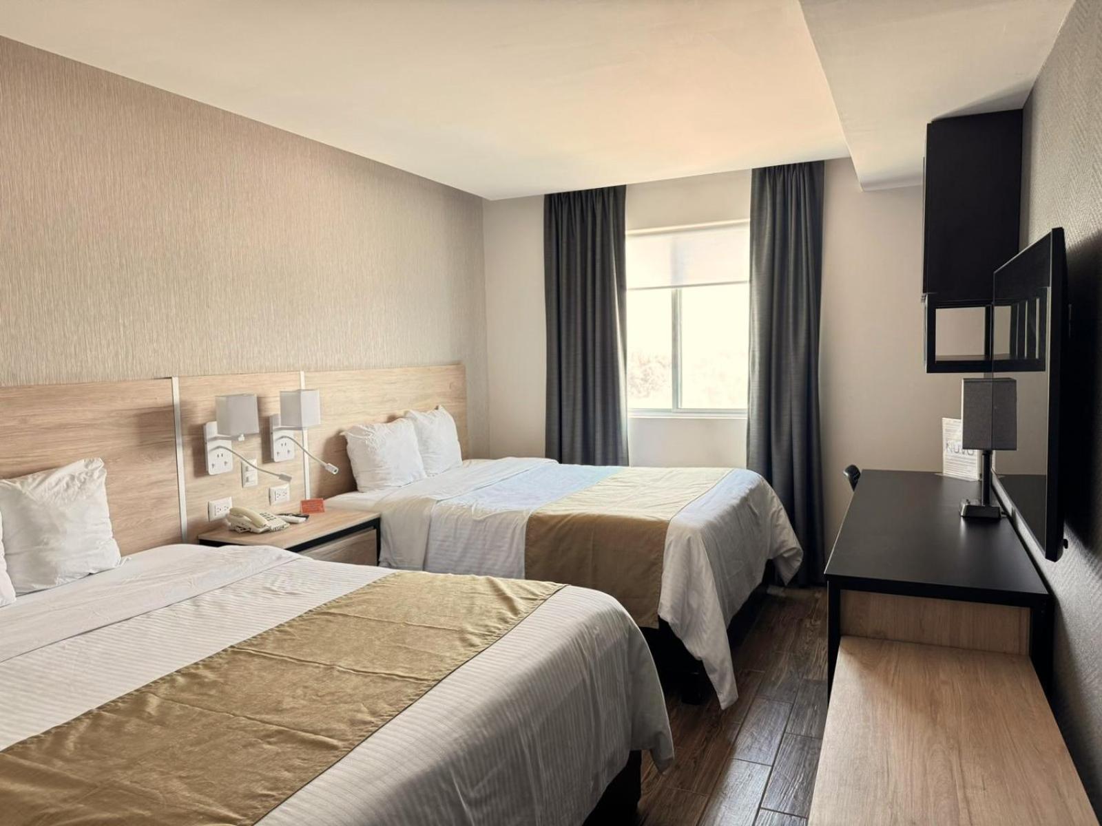 Suite photo 2