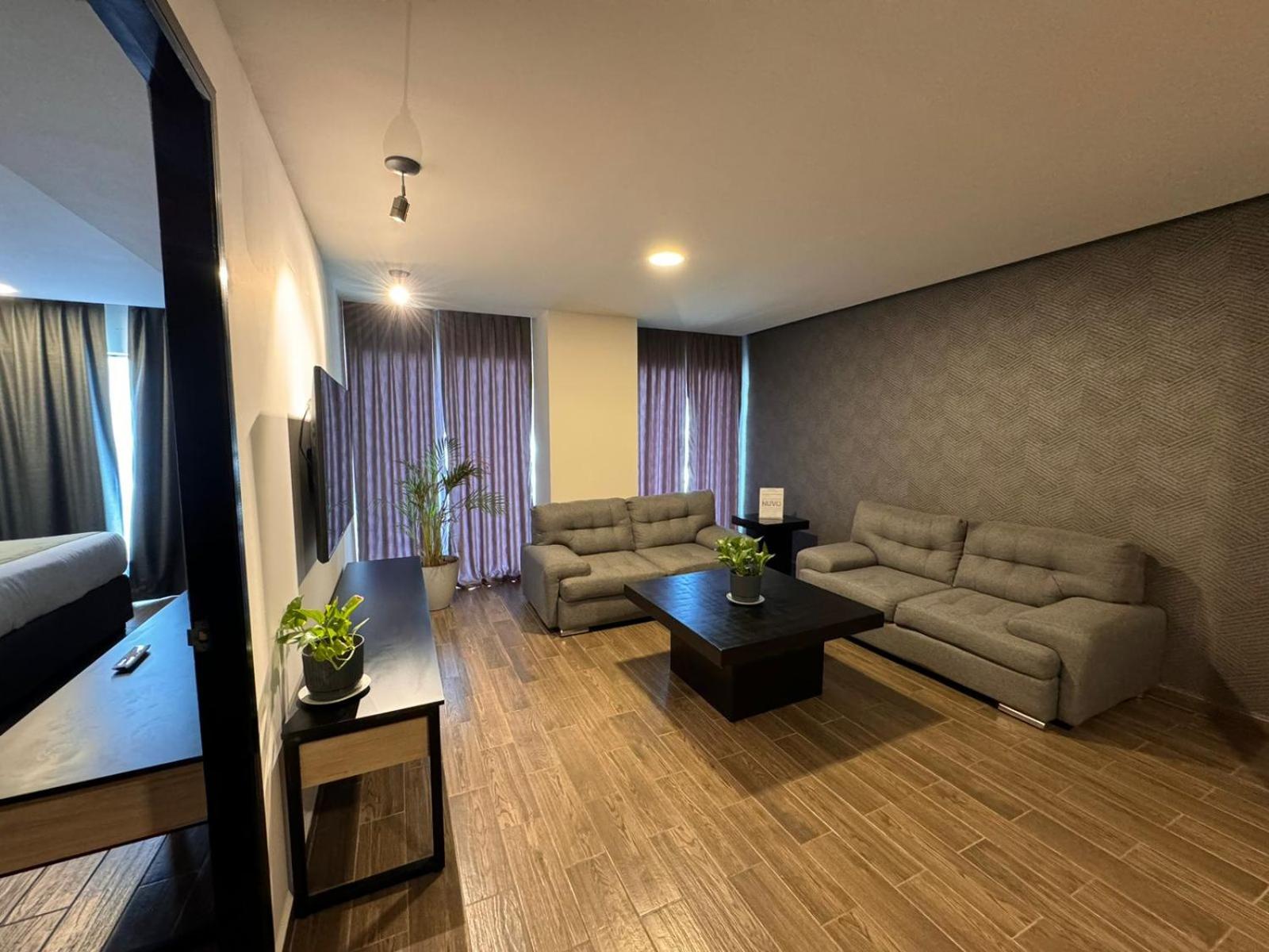 Suite photo 1