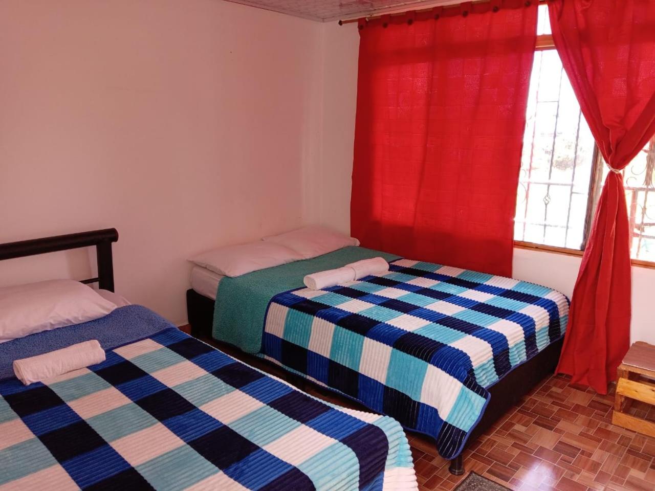 Double or Twin Room photo 2