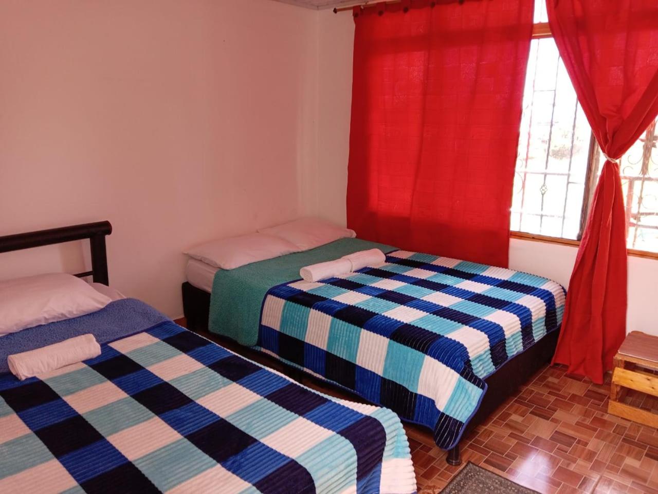 Double or Twin Room photo 3