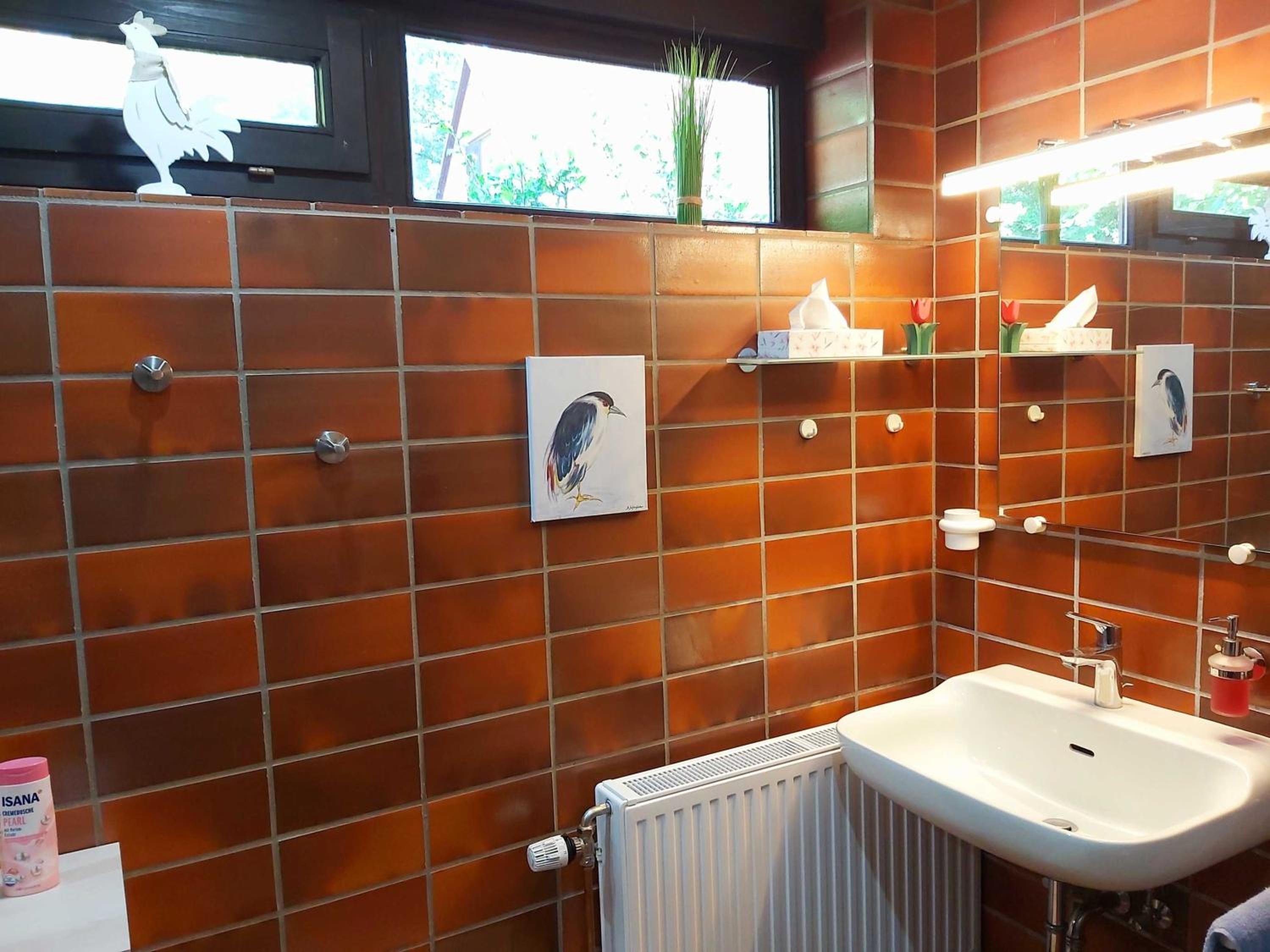 Apartment With Terrace photo 3
