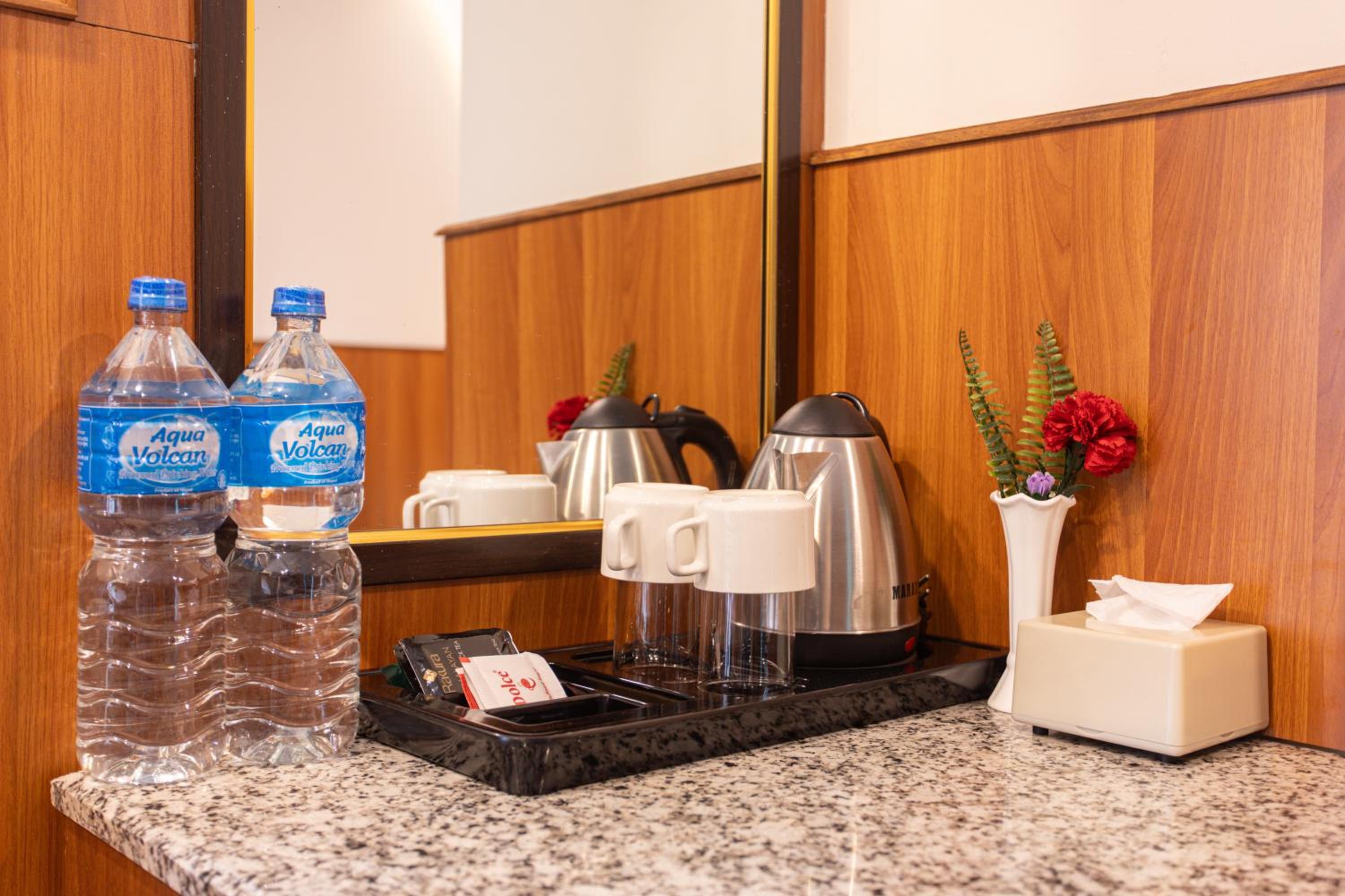 Deluxe Single Room - Free Airport Pickup photo 2