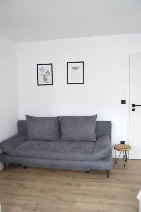 One-Bedroom Apartment photo 3