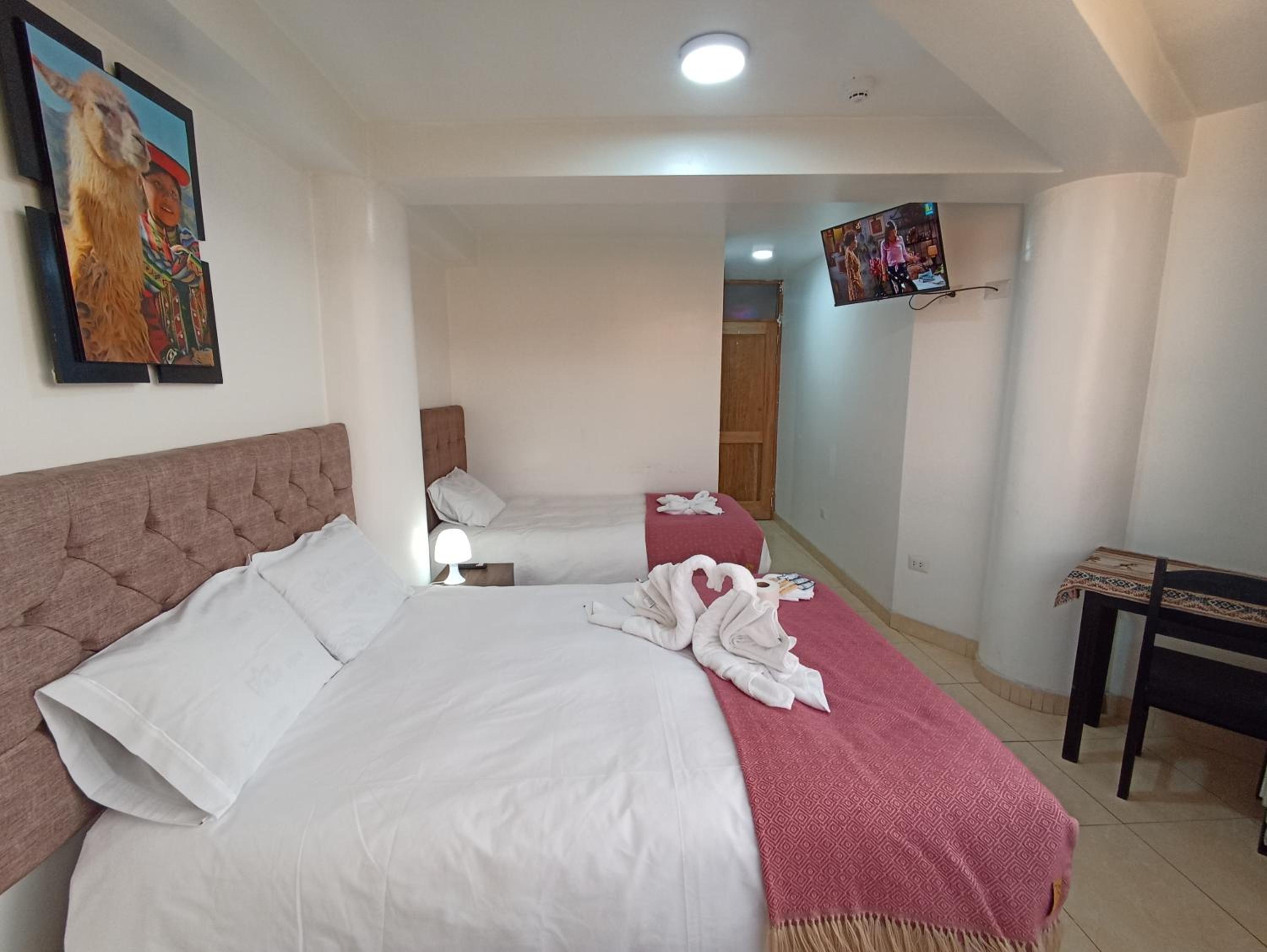 Twin Room photo 2