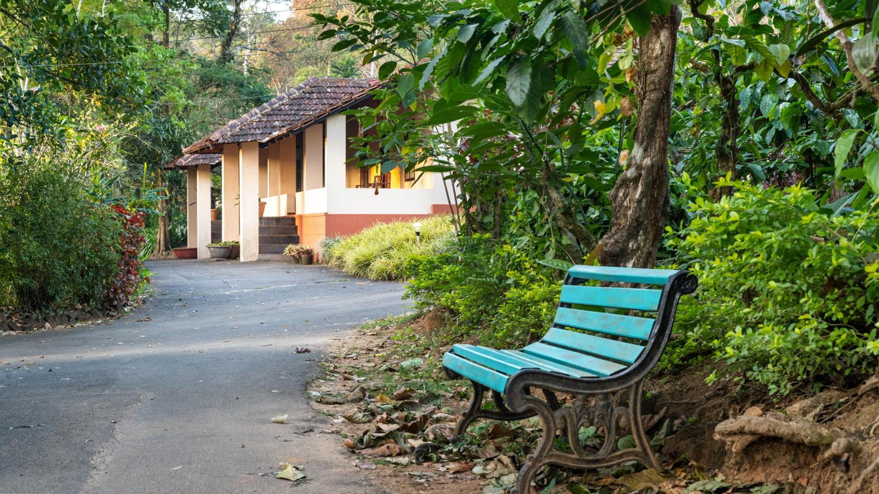 Grand Cottage - Photo 9
