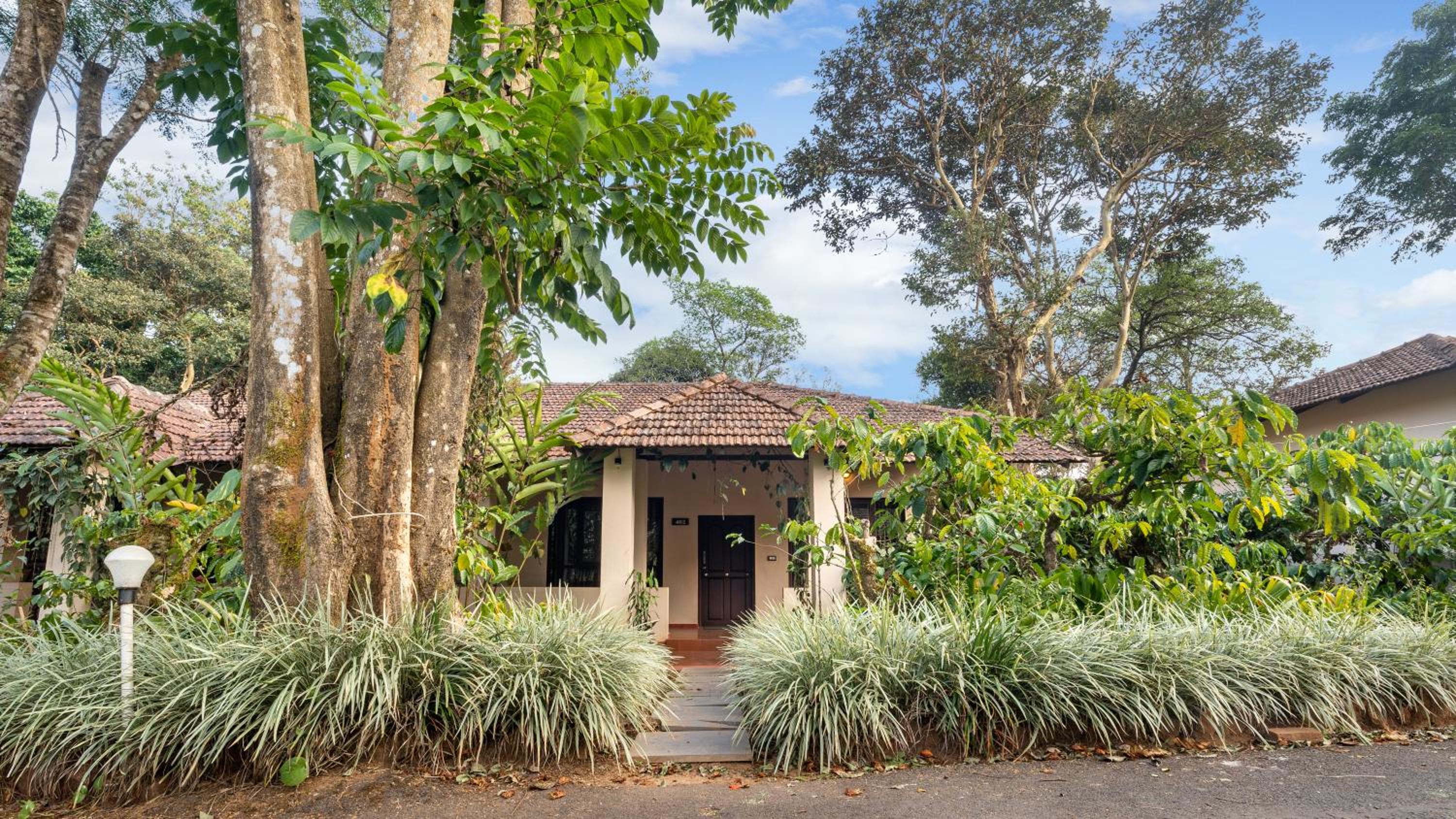Grand Cottage - Photo 10