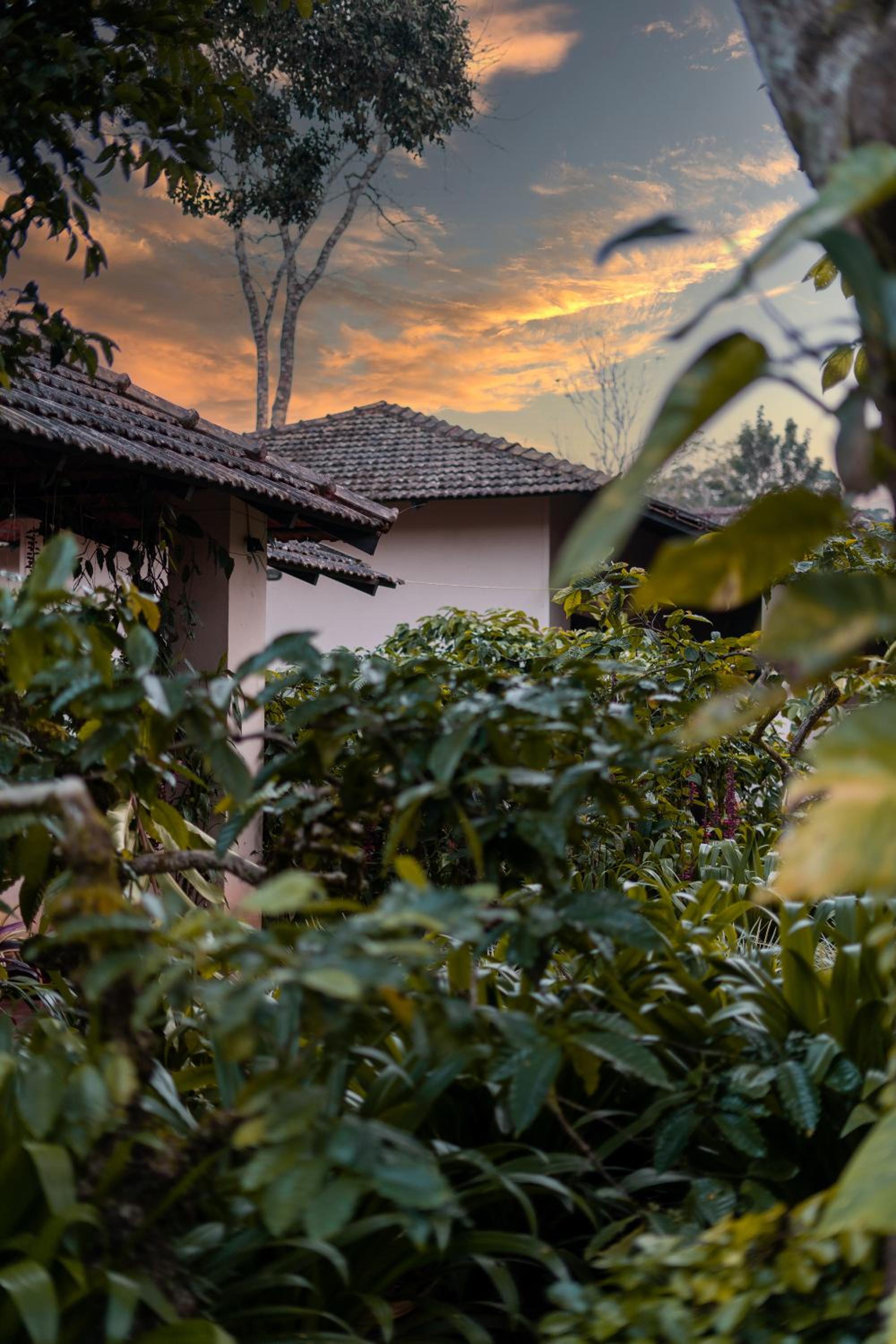Plantation Cottage - Photo 8