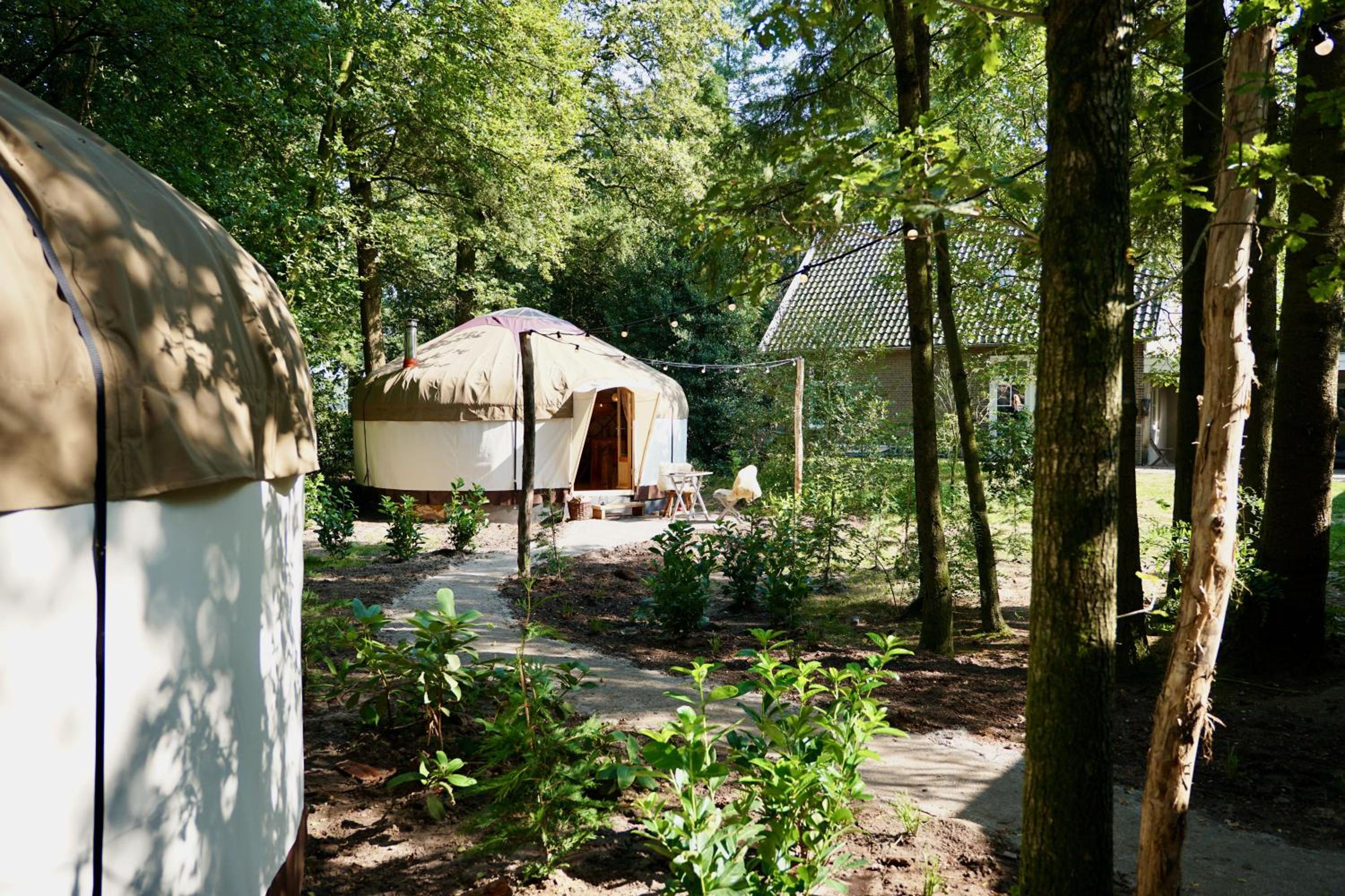 Tent photo 3