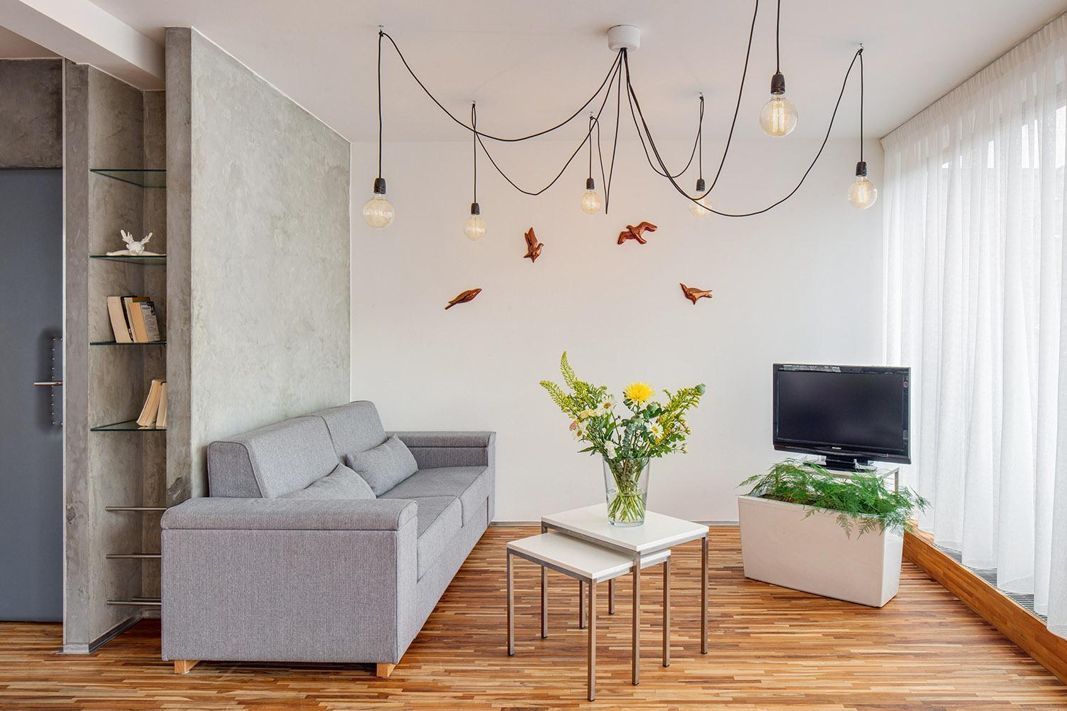 Deluxe One-Bedroom Apartment
