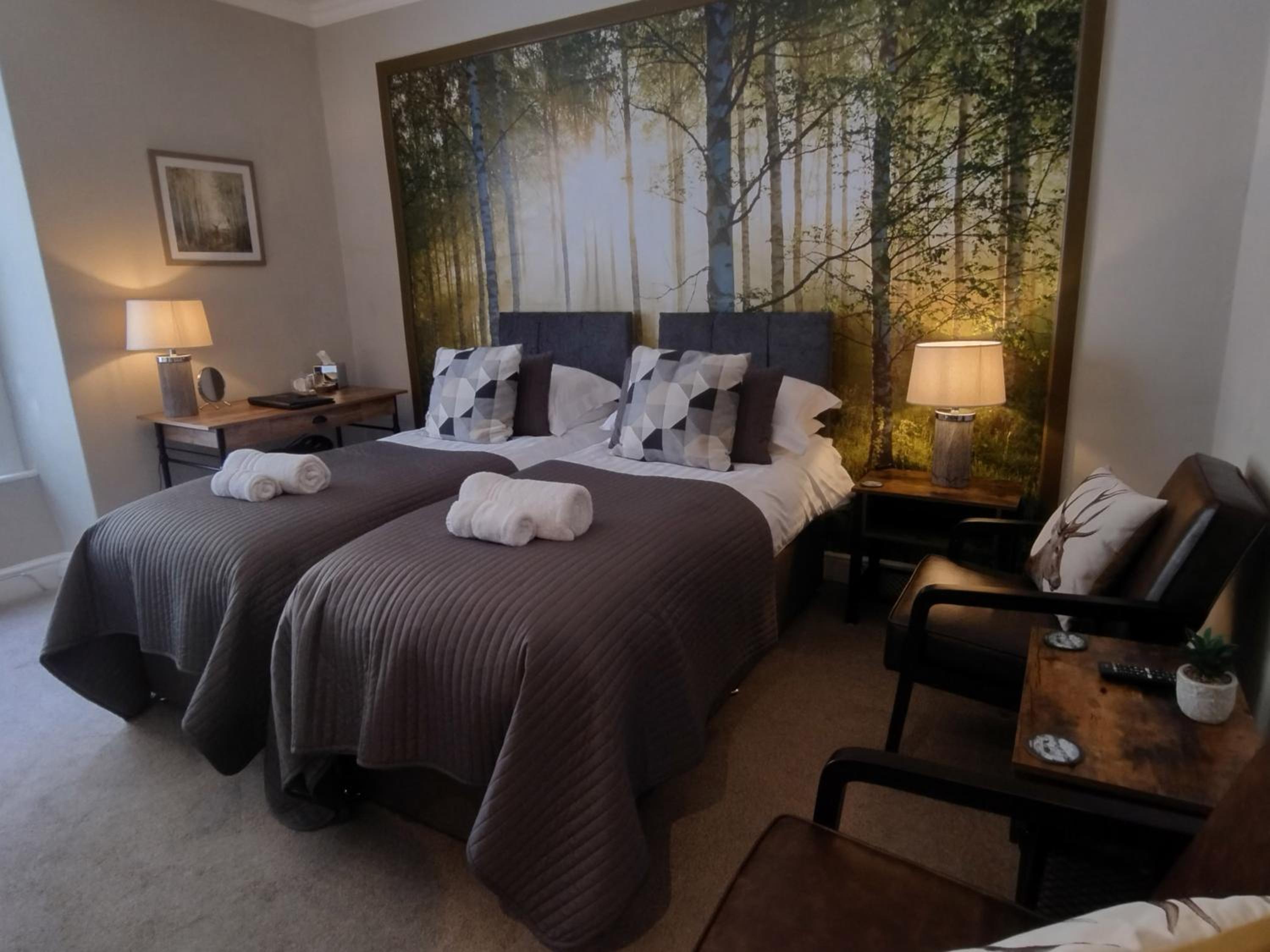 Superior Double or Twin Room with Garden View photo 2