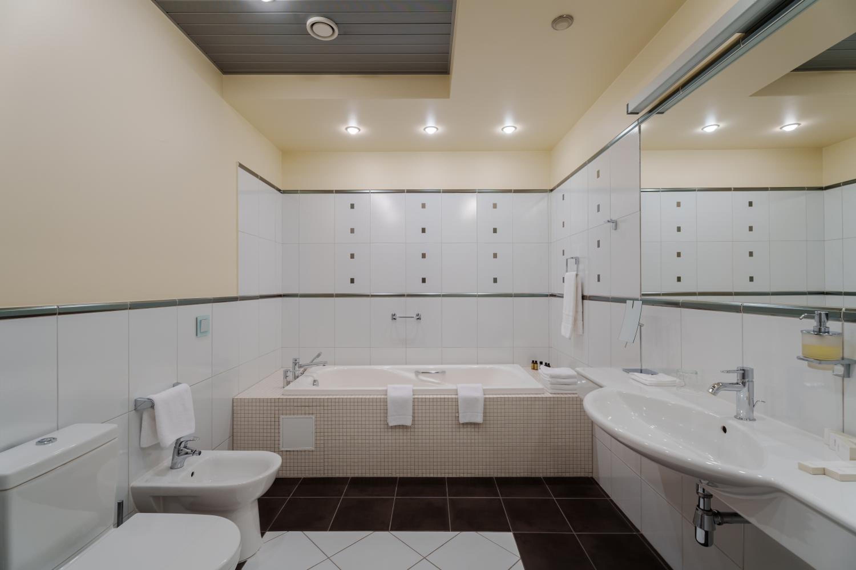 Luxury Suite with Gym Access photo 3