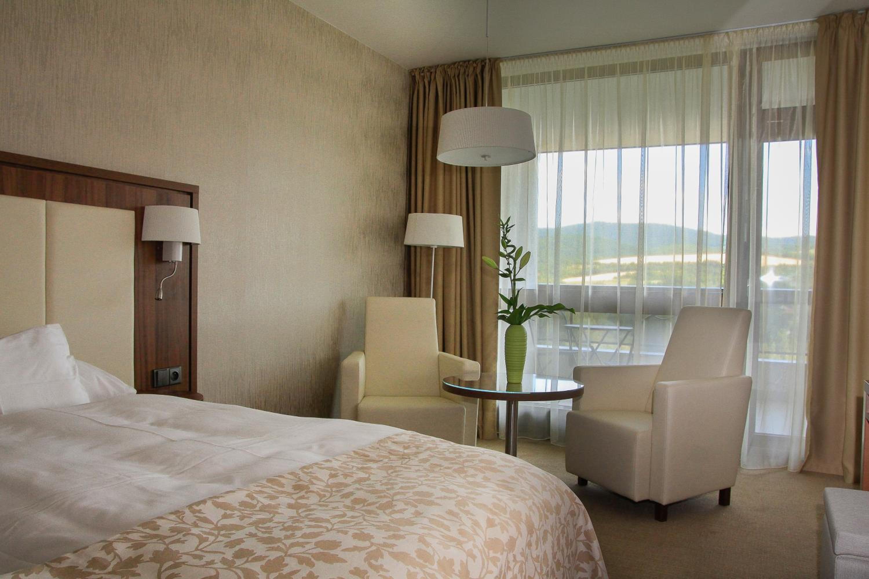 Premium Room with Wellness Access - Photo 4