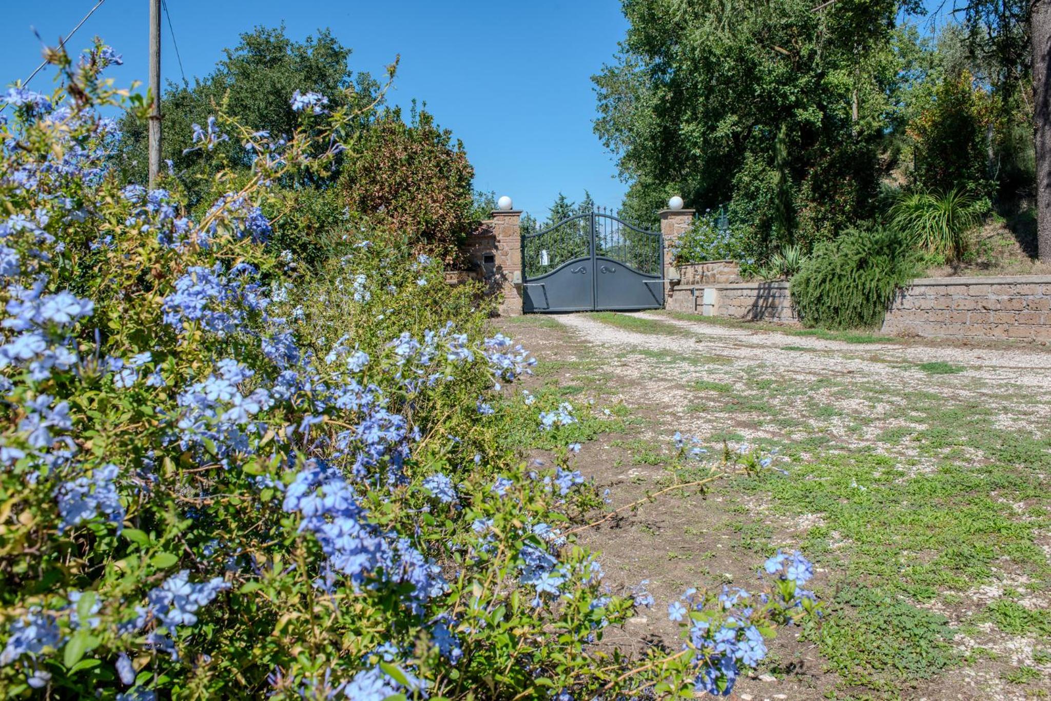 Villa photo 2