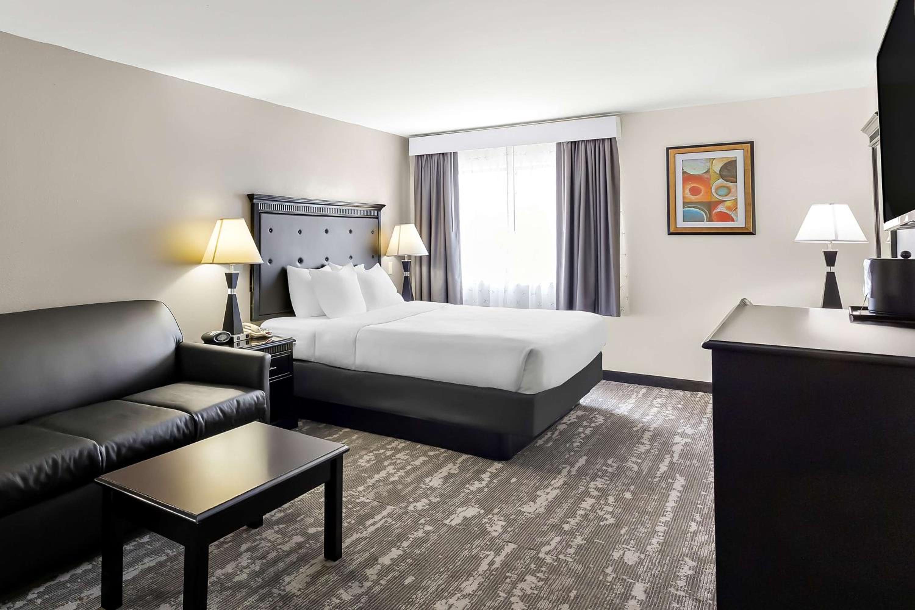 King Room with Sofa Bed - Pet Friendly - Photo 1