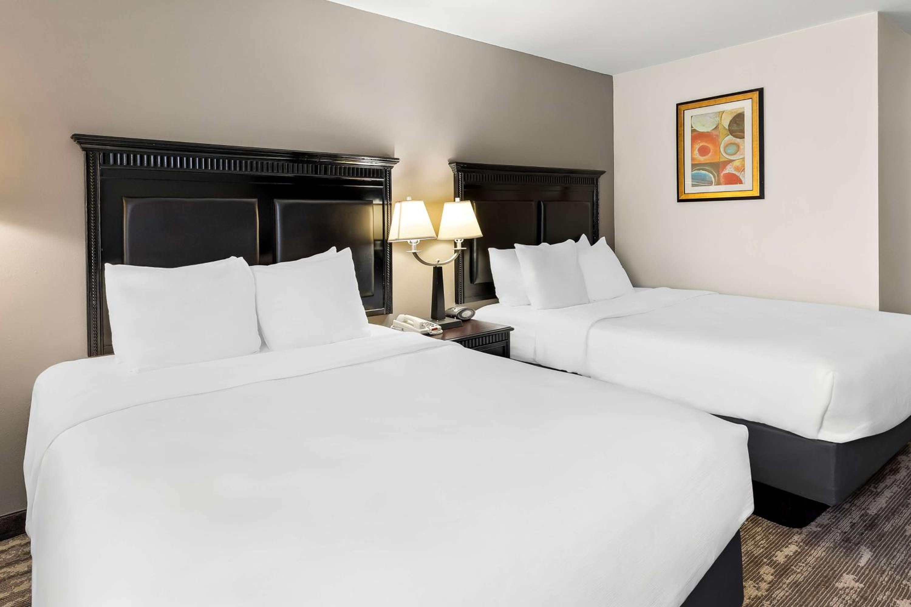 Double Room With Two Double Beds And Roll In Shower - Photo 2