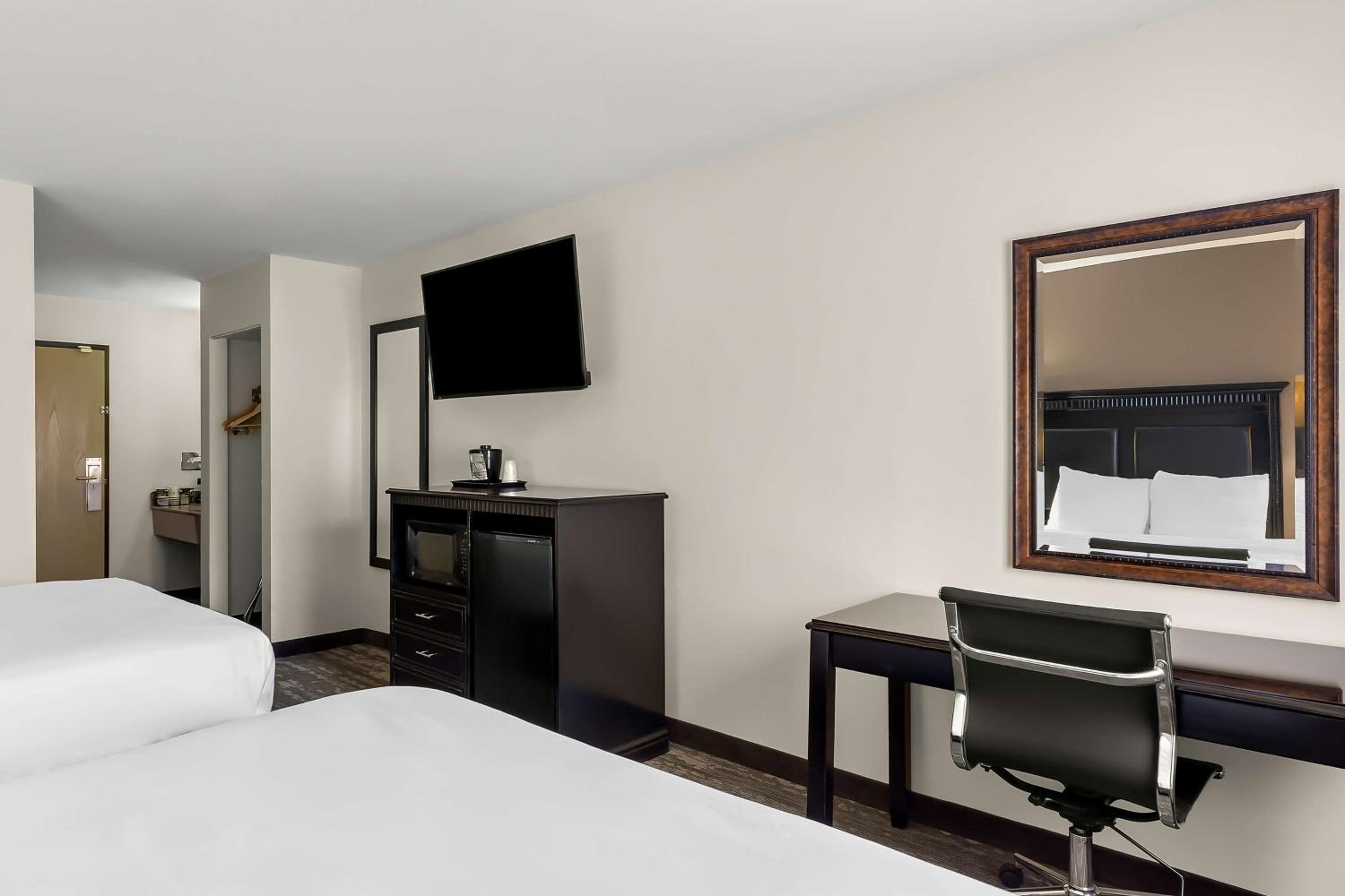 Double Room With Two Double Beds And Roll In Shower - Photo 4