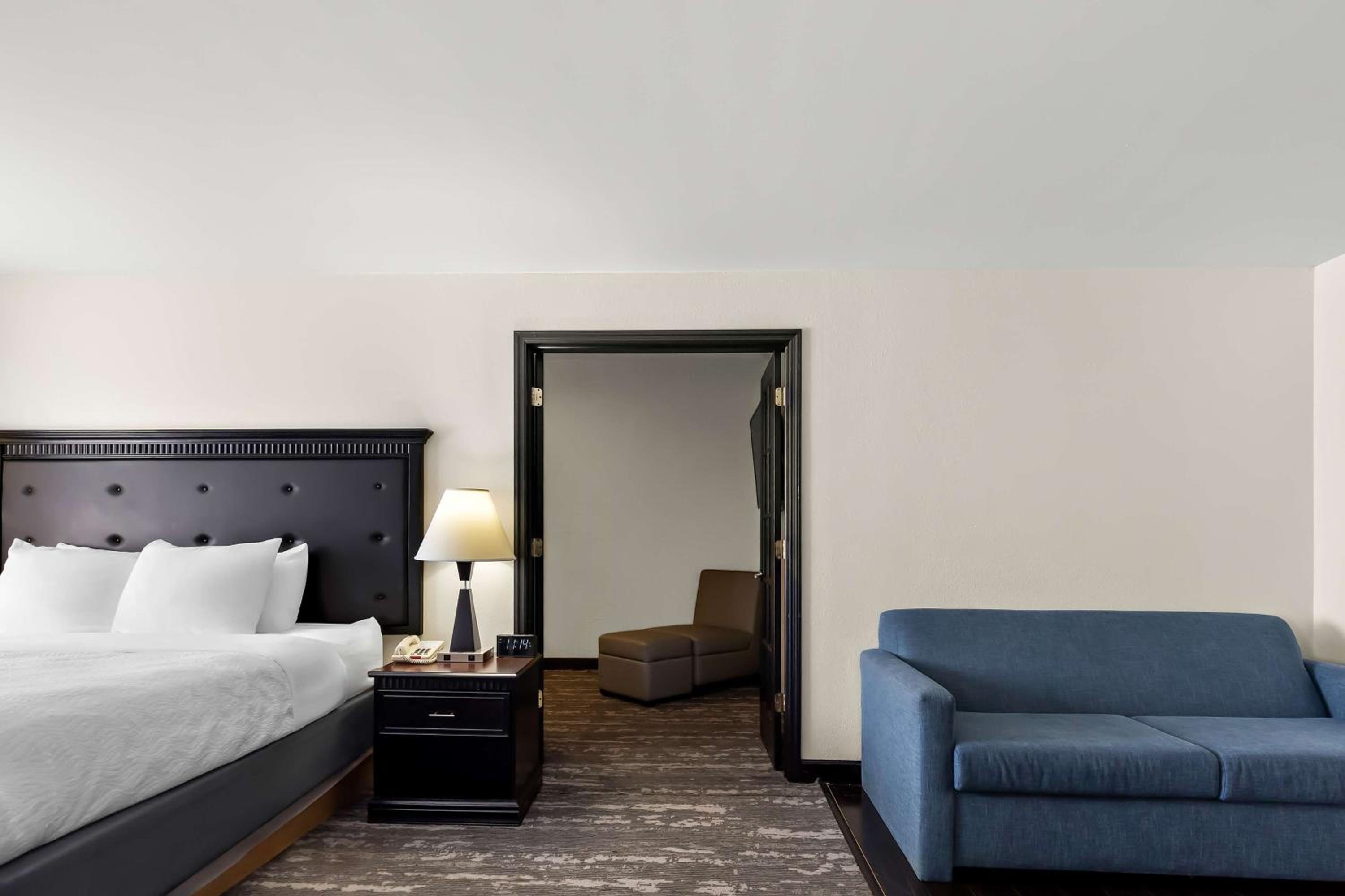 Two-Room King Suite with Sofa Bed - Pet Friendly/Non-Smoking - Photo 5