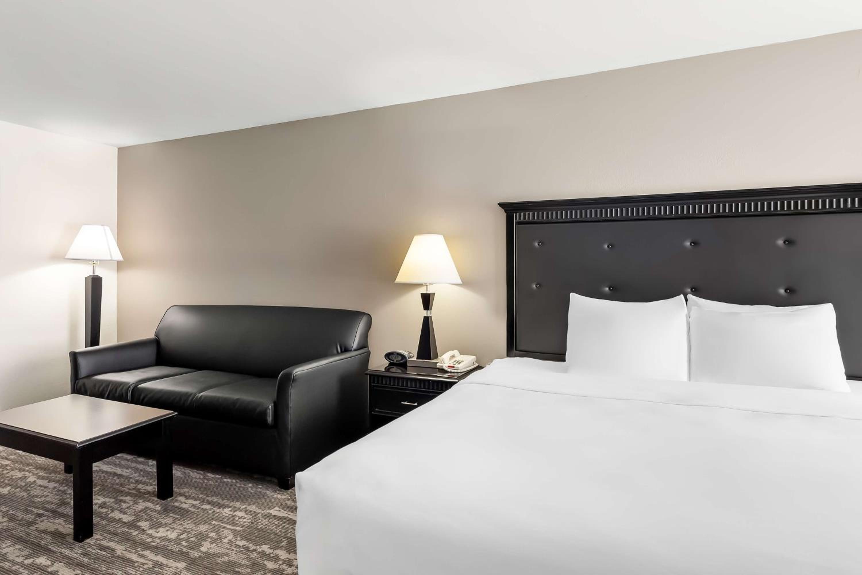 King Room with Sofa Bed - Pet Friendly - Photo 2