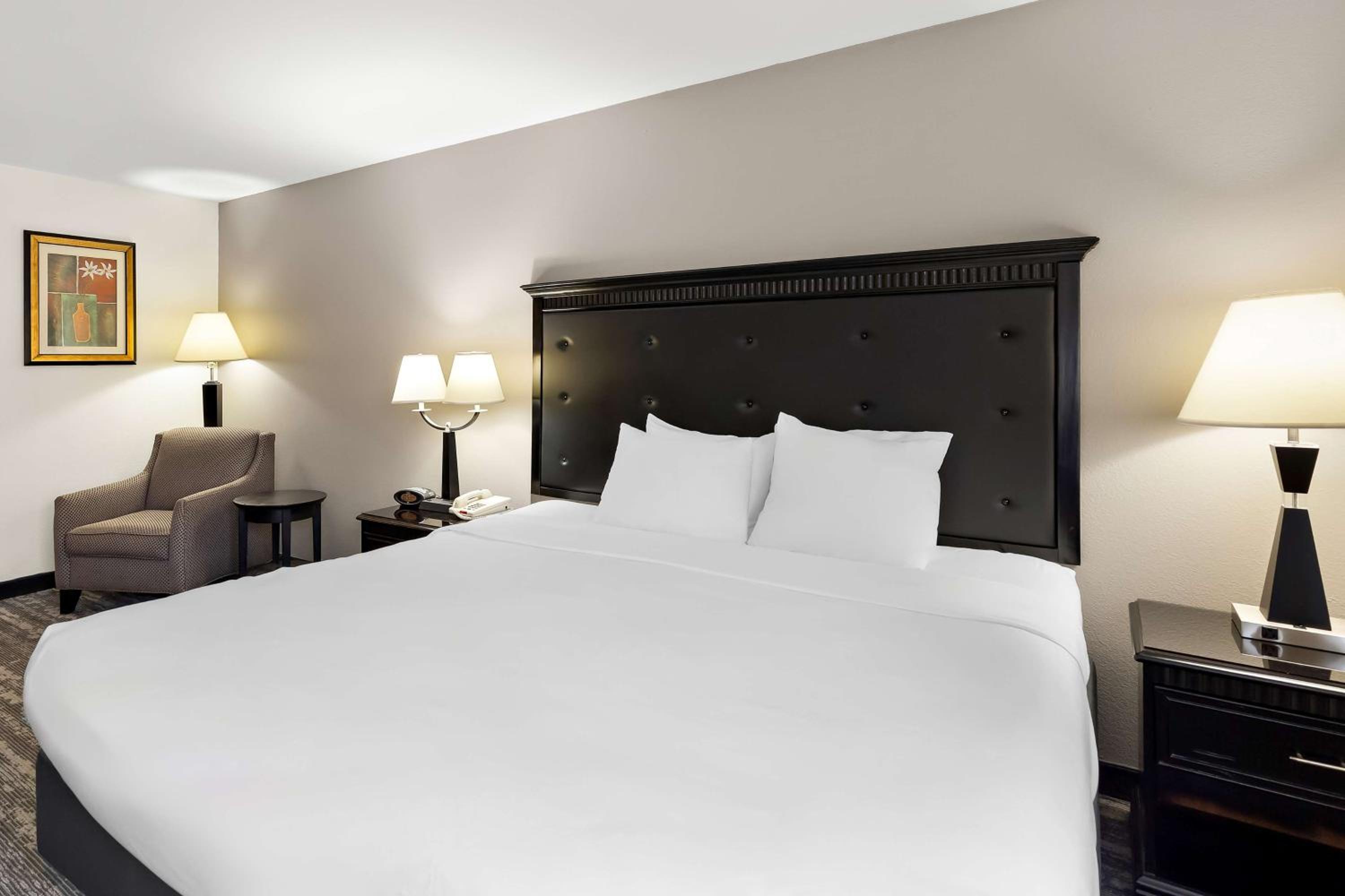King Room - Pet Friendly/Non-Smoking - Photo 2