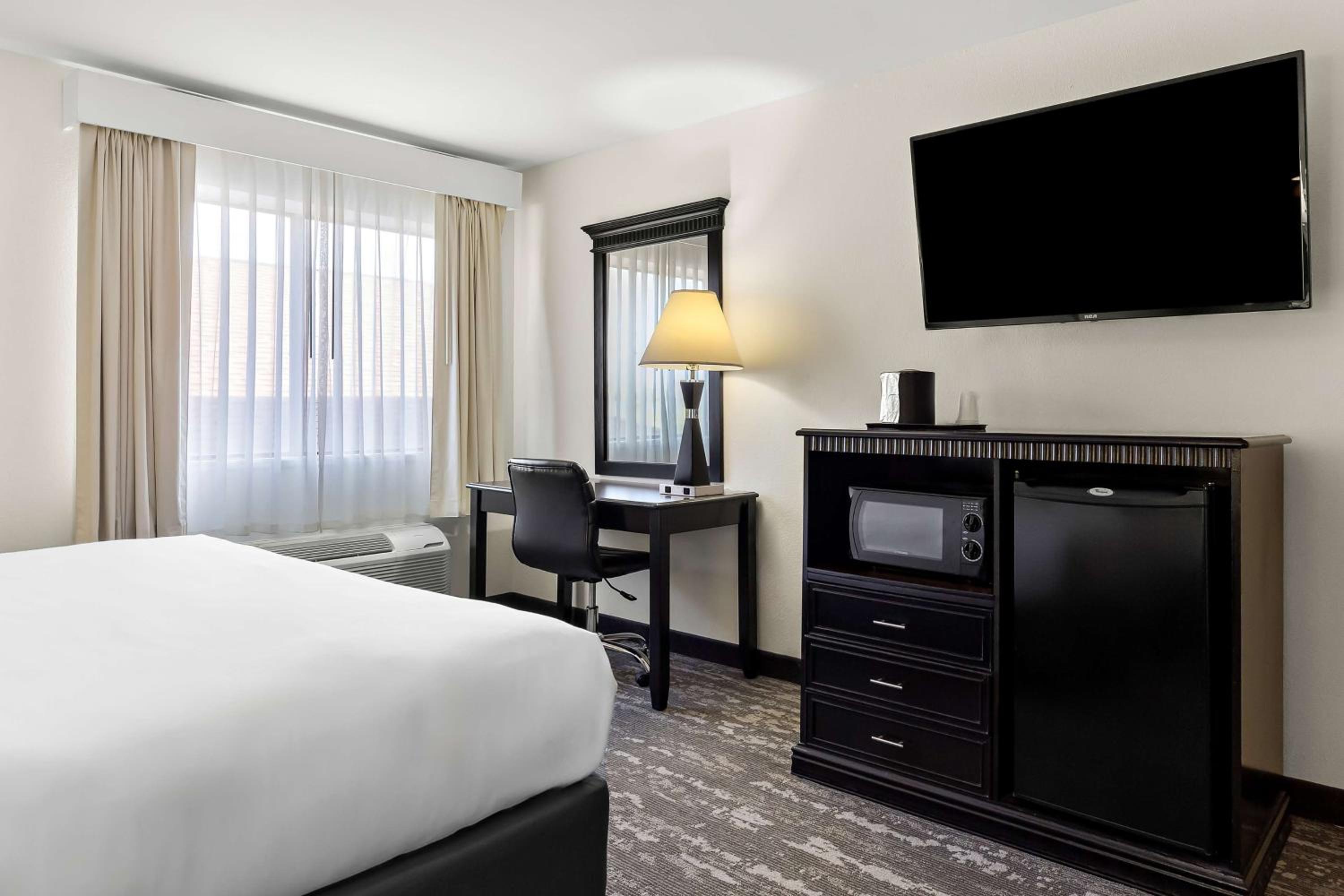 King Room - Pet Friendly/Non-Smoking - Photo 3