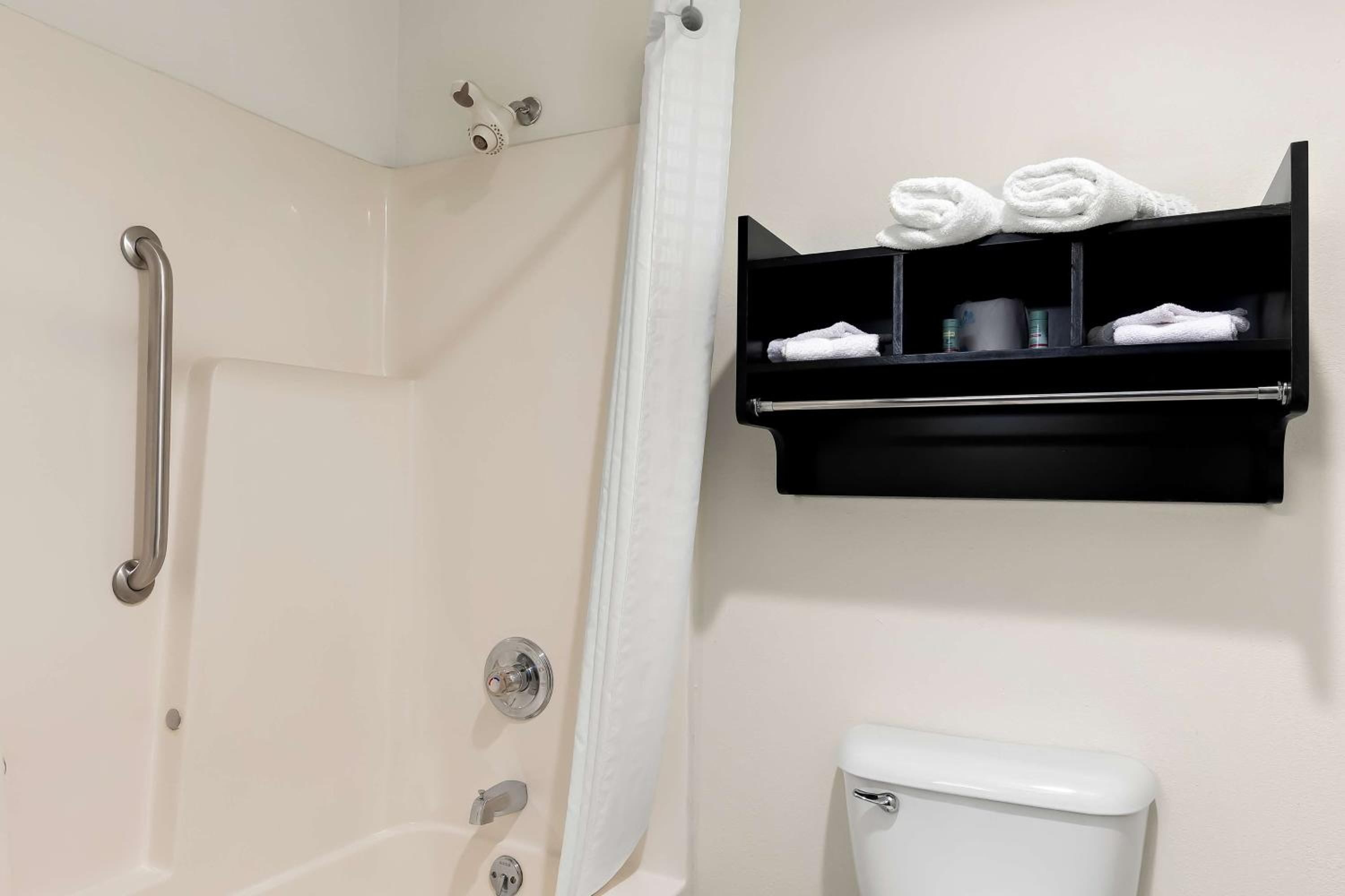King Room - Pet Friendly/Non-Smoking - Photo 4