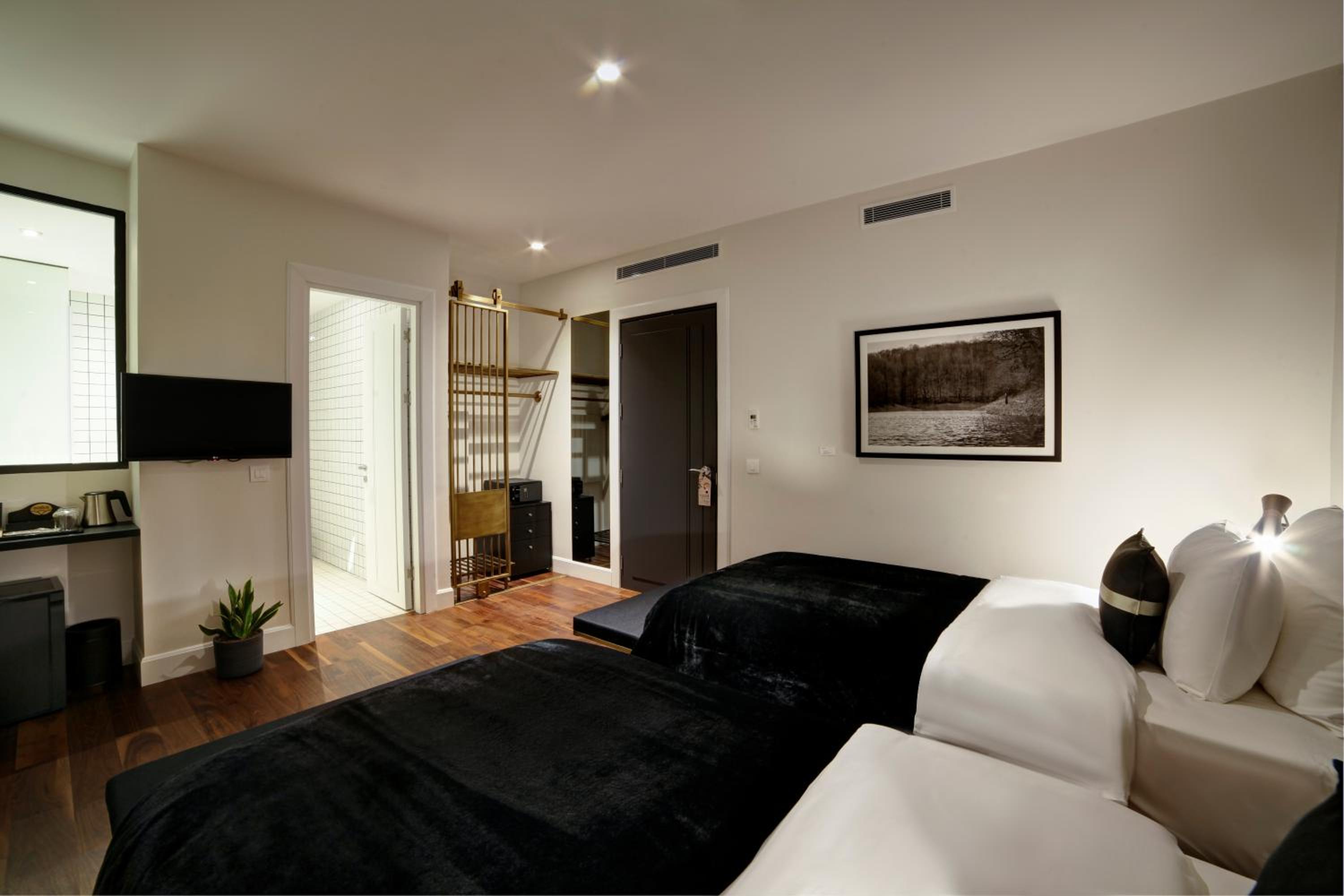 Standard Double or Twin Room photo 3