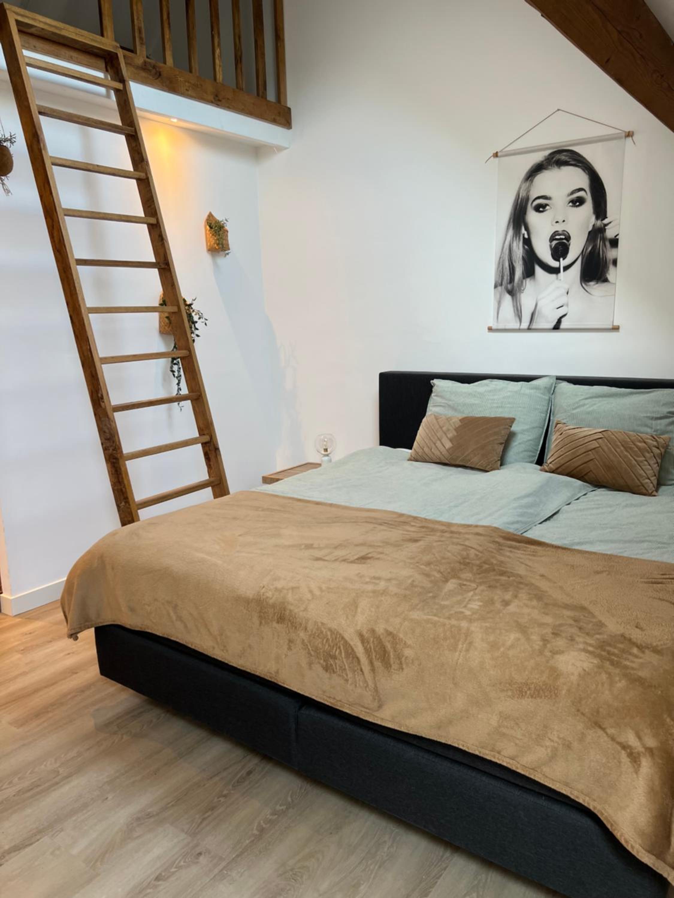 Deluxe Room photo 1