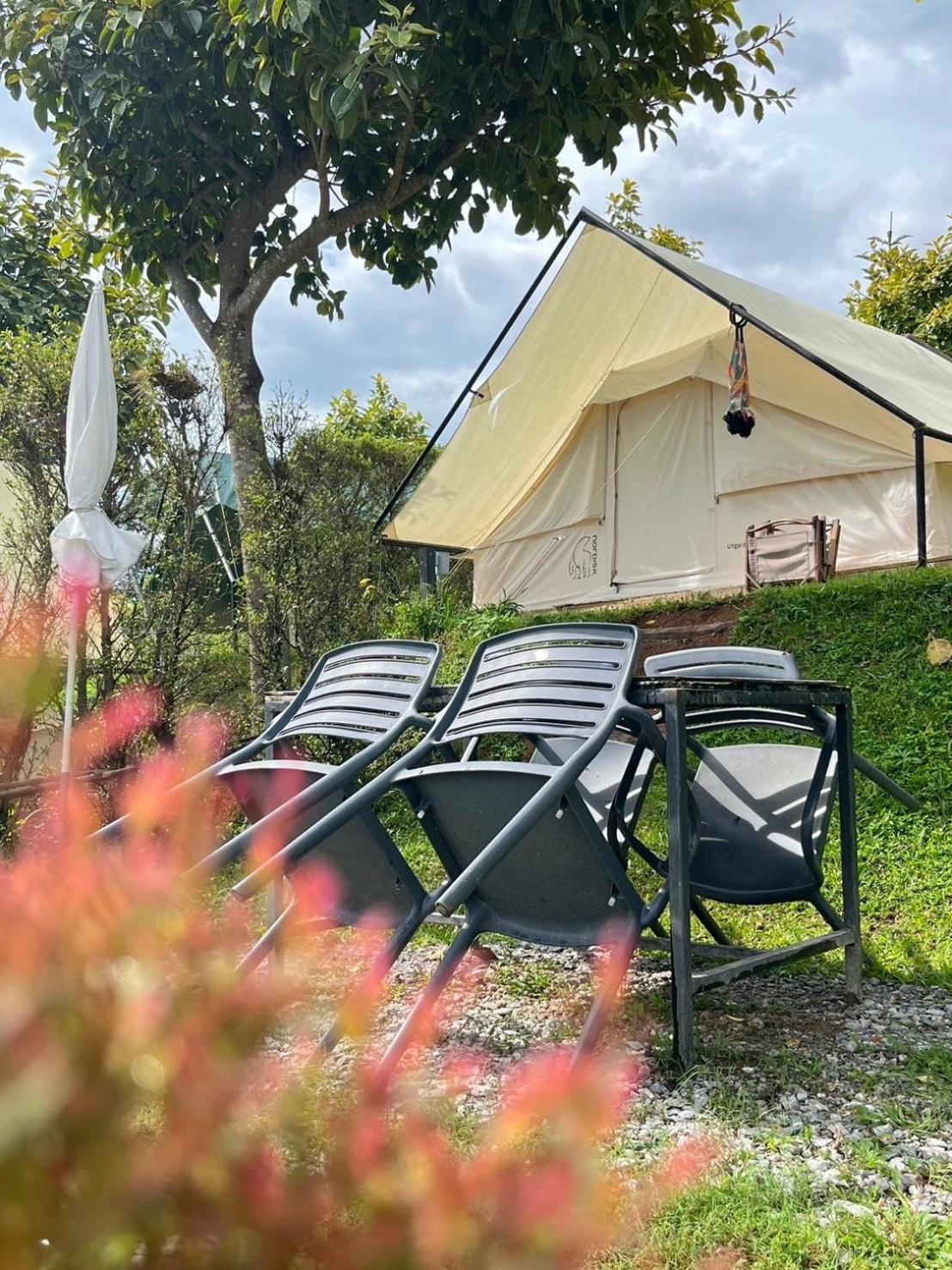 Tent - Photo 6