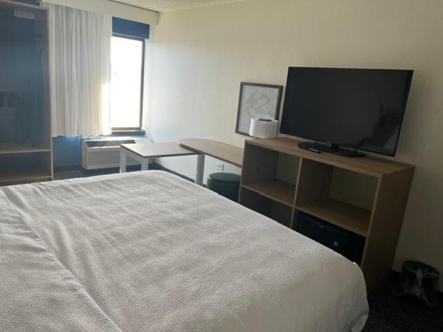 King Room - Photo 3