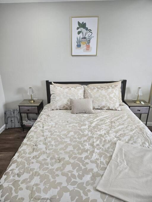 Studio Apartment photo 1