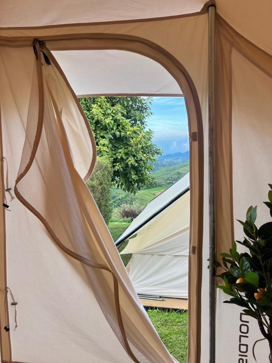 Tent (6 Adults)  photo 2