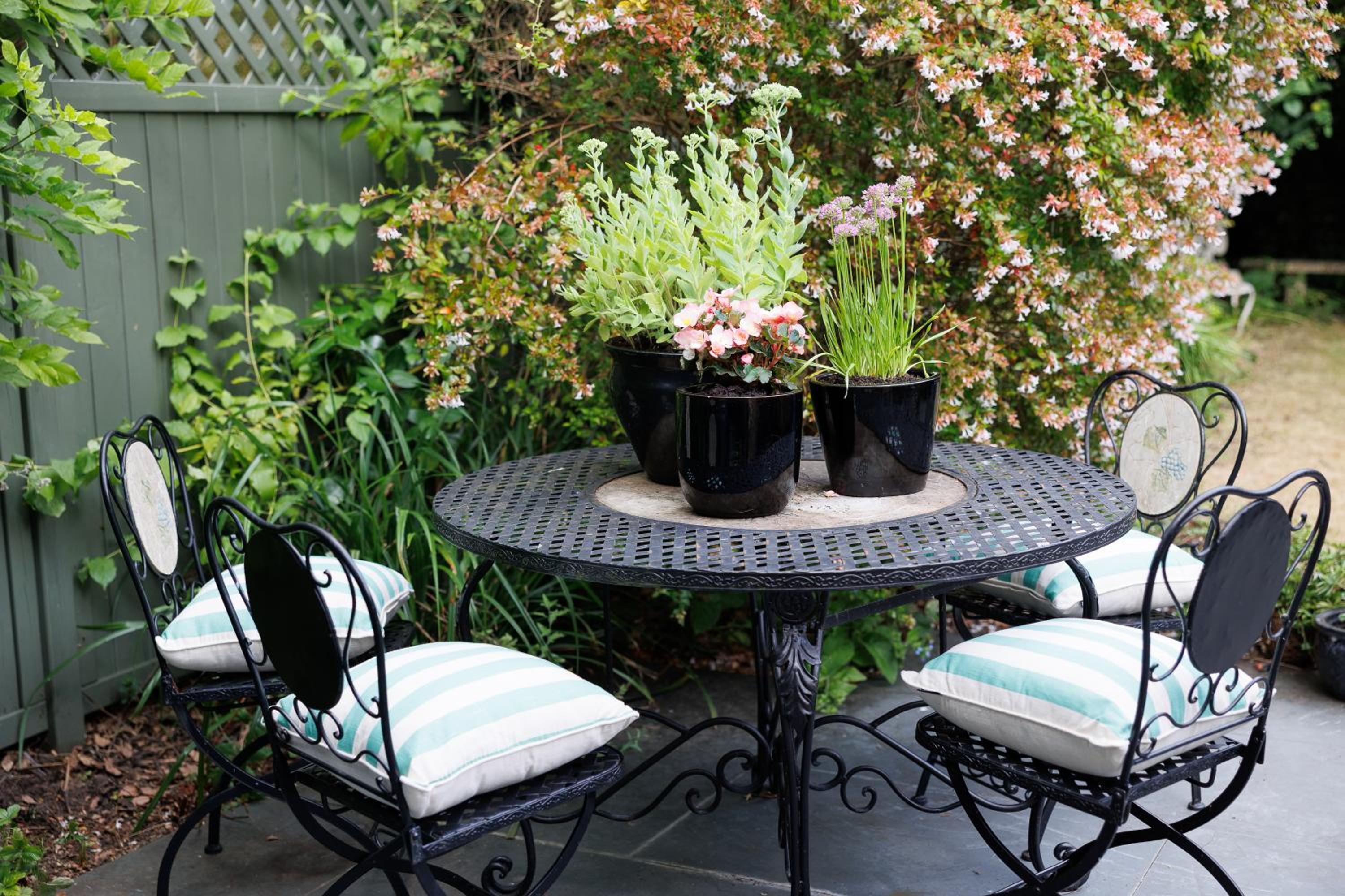 Vacation Home photo 3
