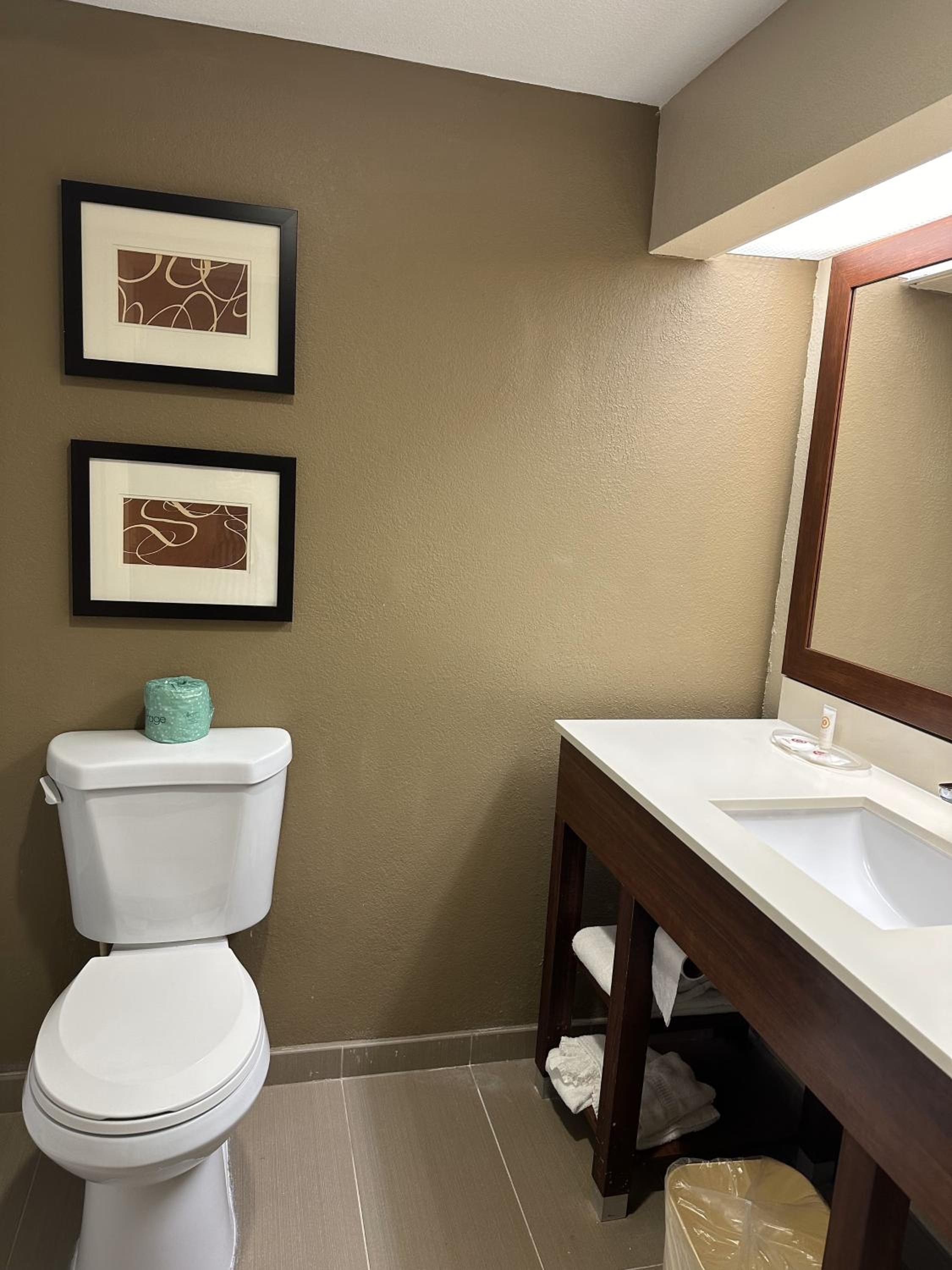 King Suite - Accessible/Non-Smoking - Photo 4