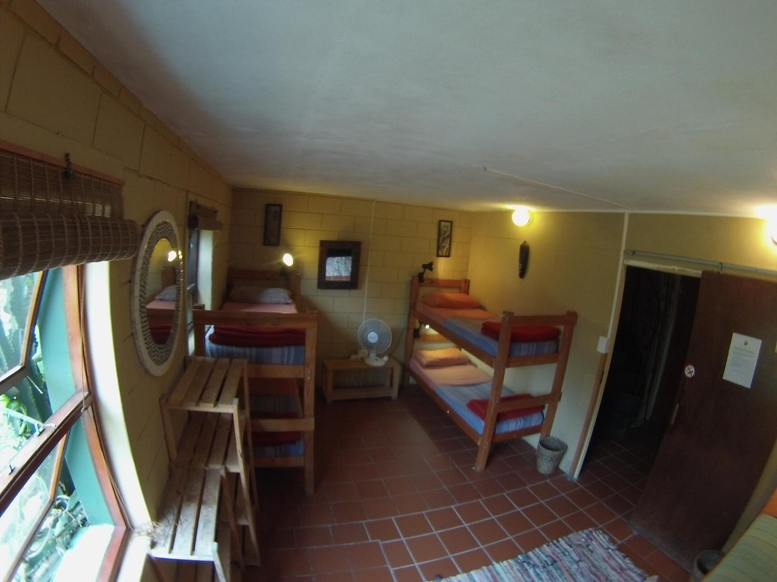 Bed in 6-Bed Mixed Dormitory Room photo 1