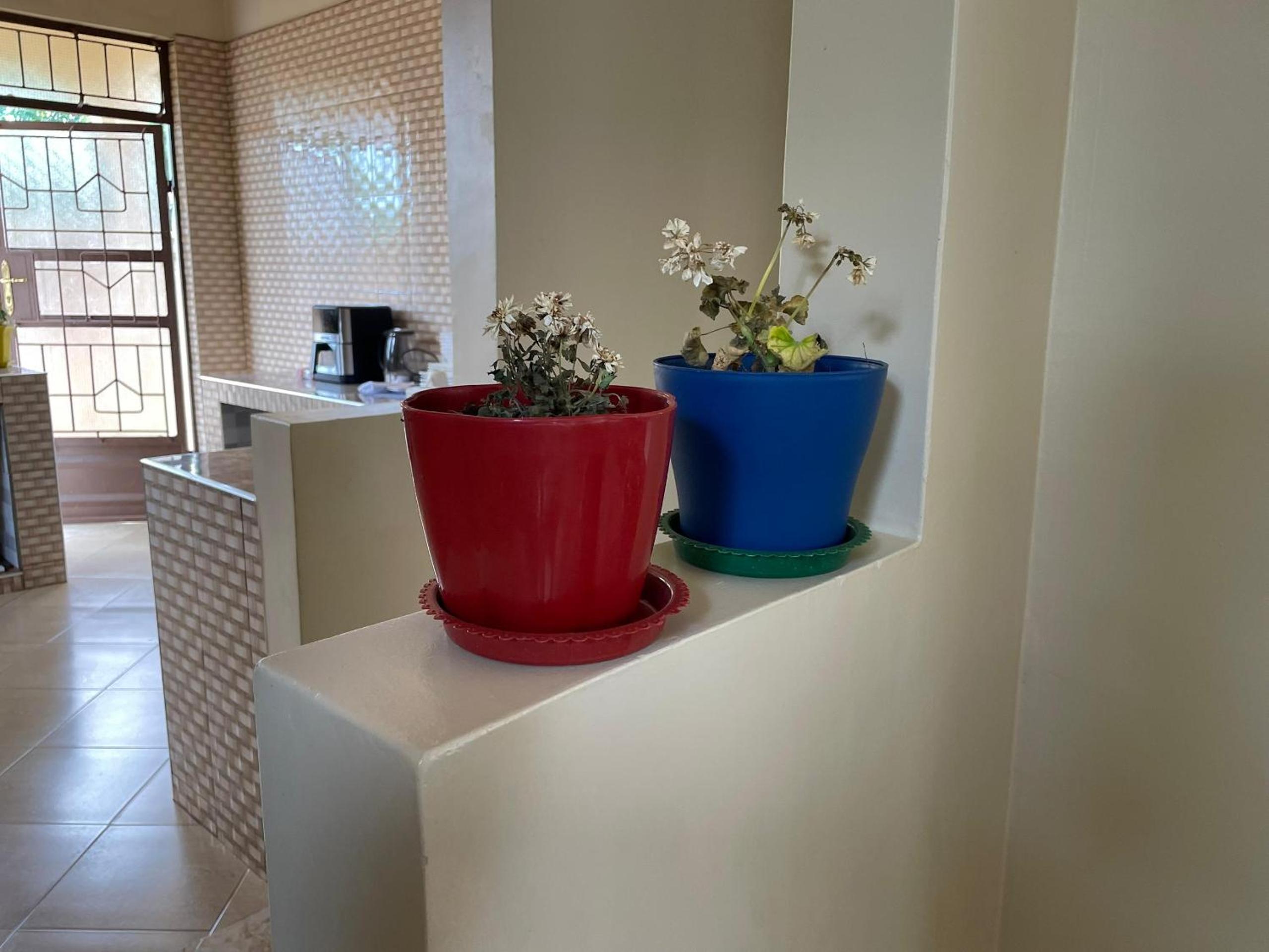 Family Room photo 2