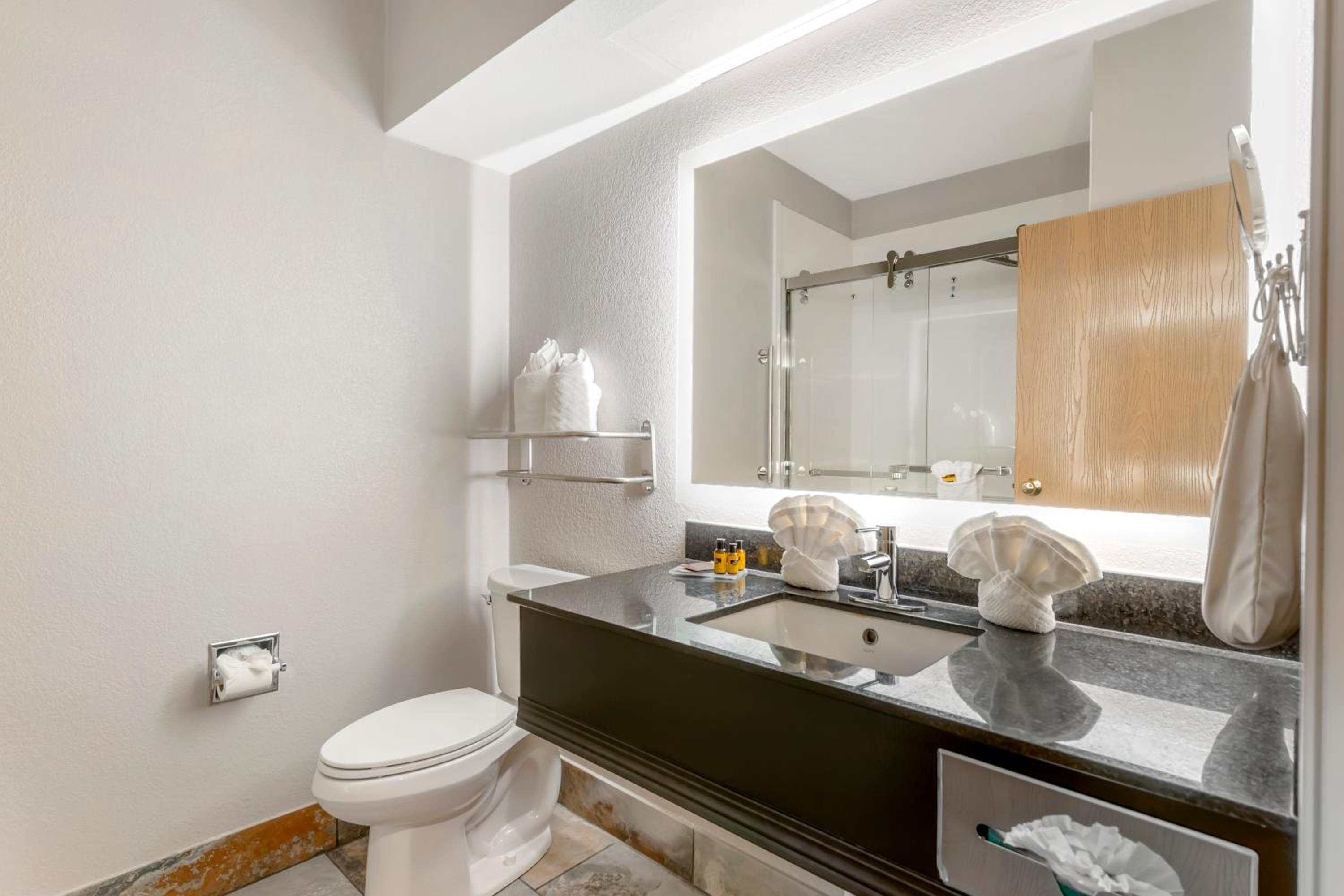 King Suite - Photo 3