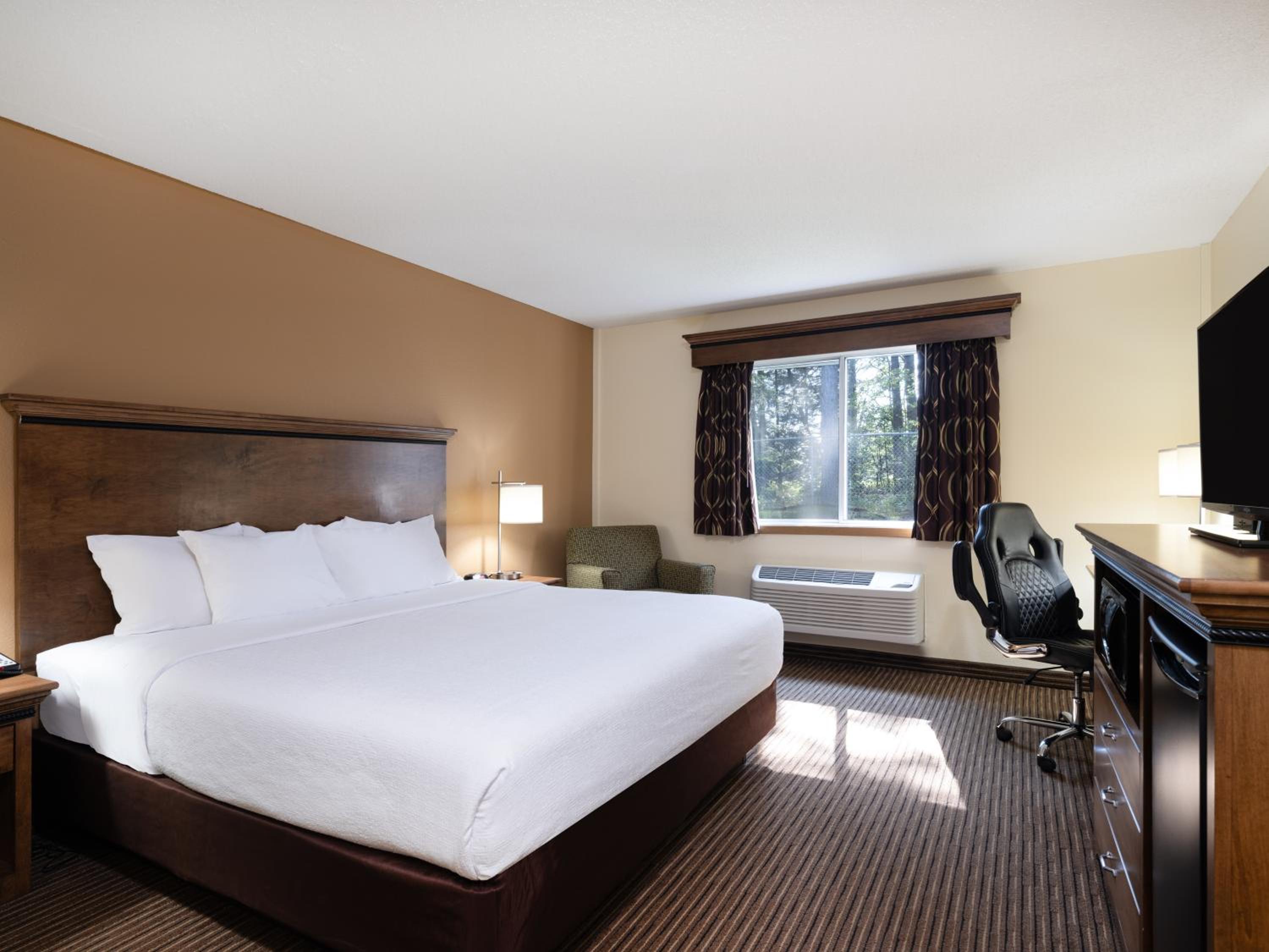 King Room - Disability Access photo 1