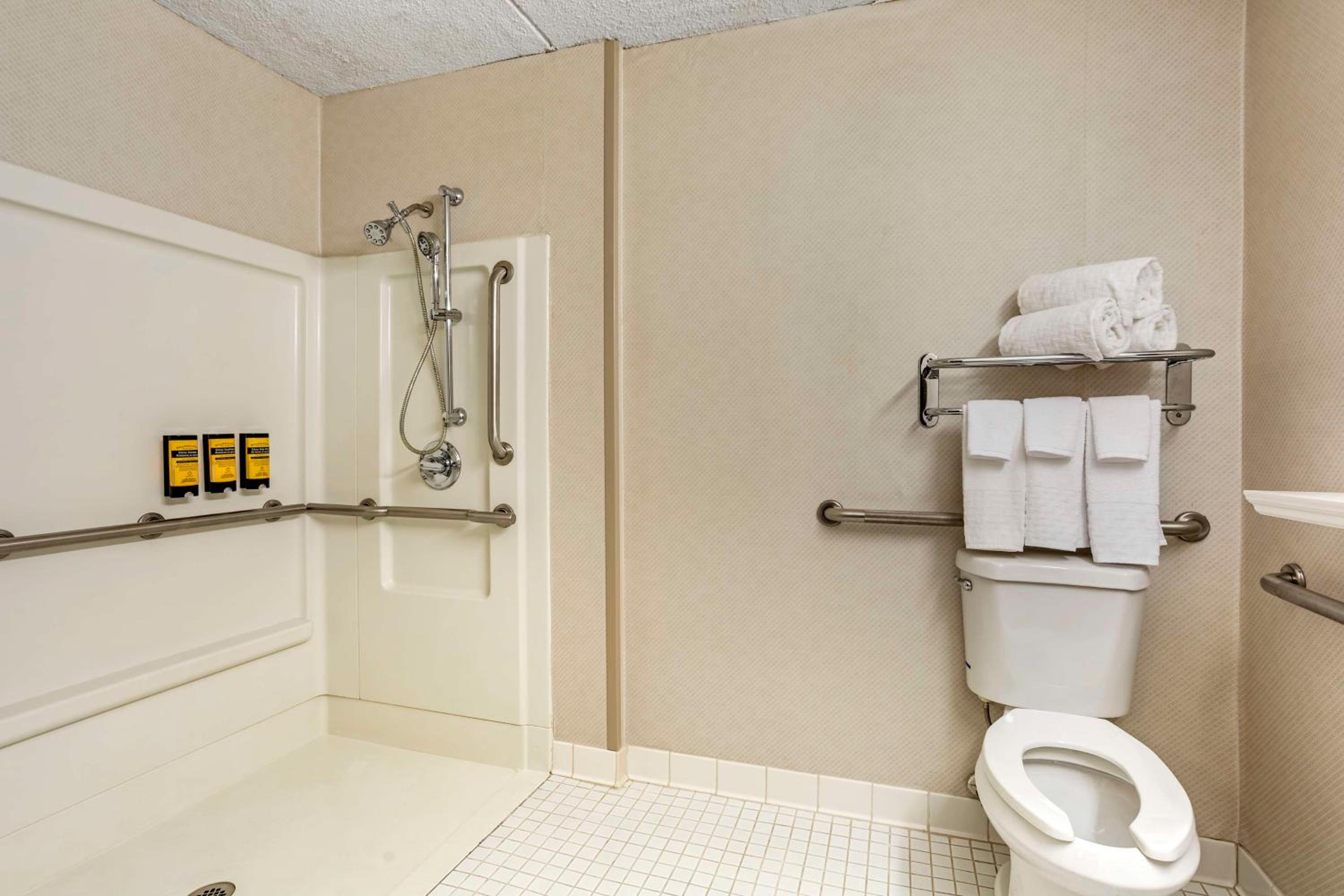 King Room with Roll-In Shower - Disability Access - Photo 4