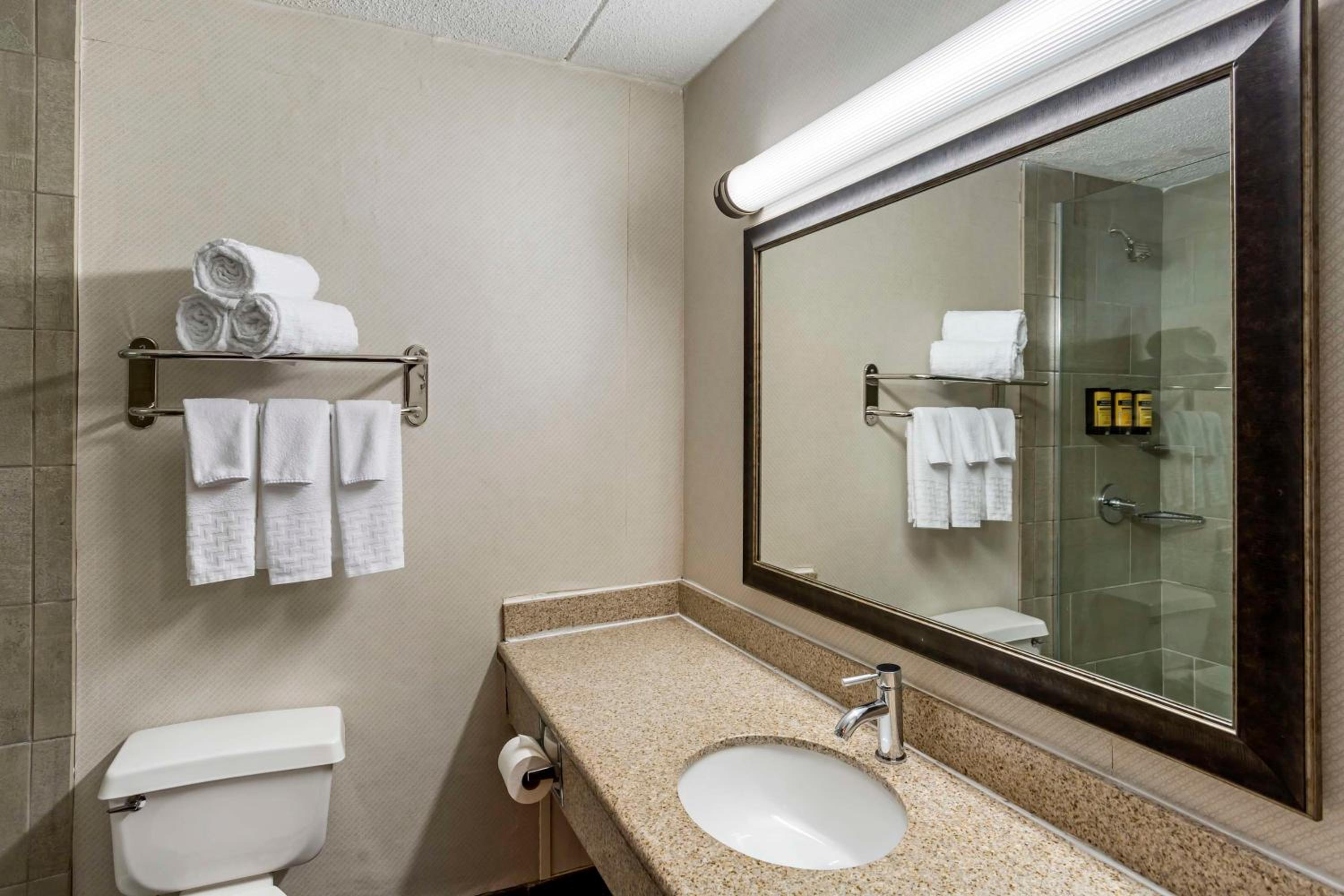King Suite - Non-Smoking - Photo 6