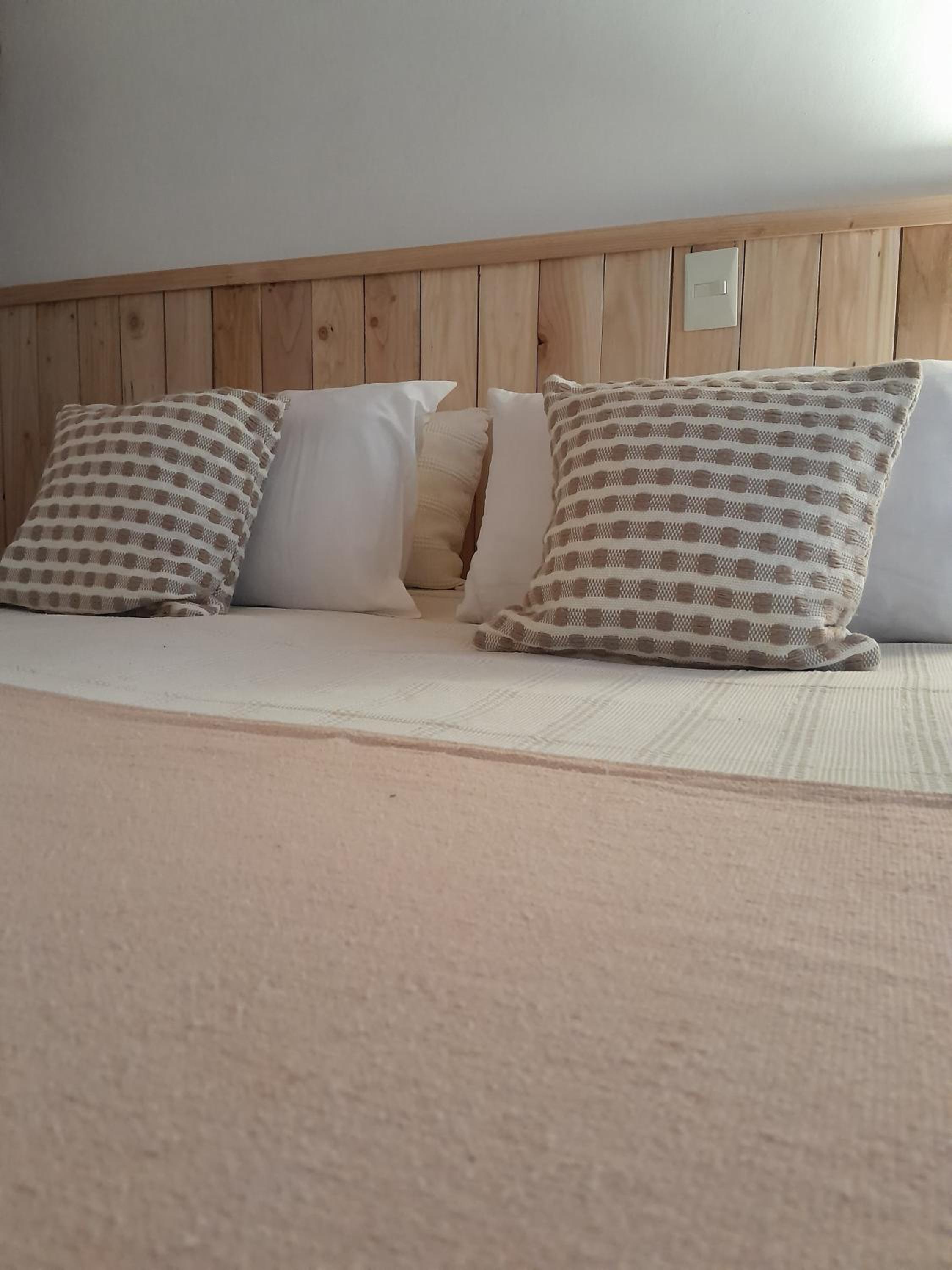 Twin Room photo 3